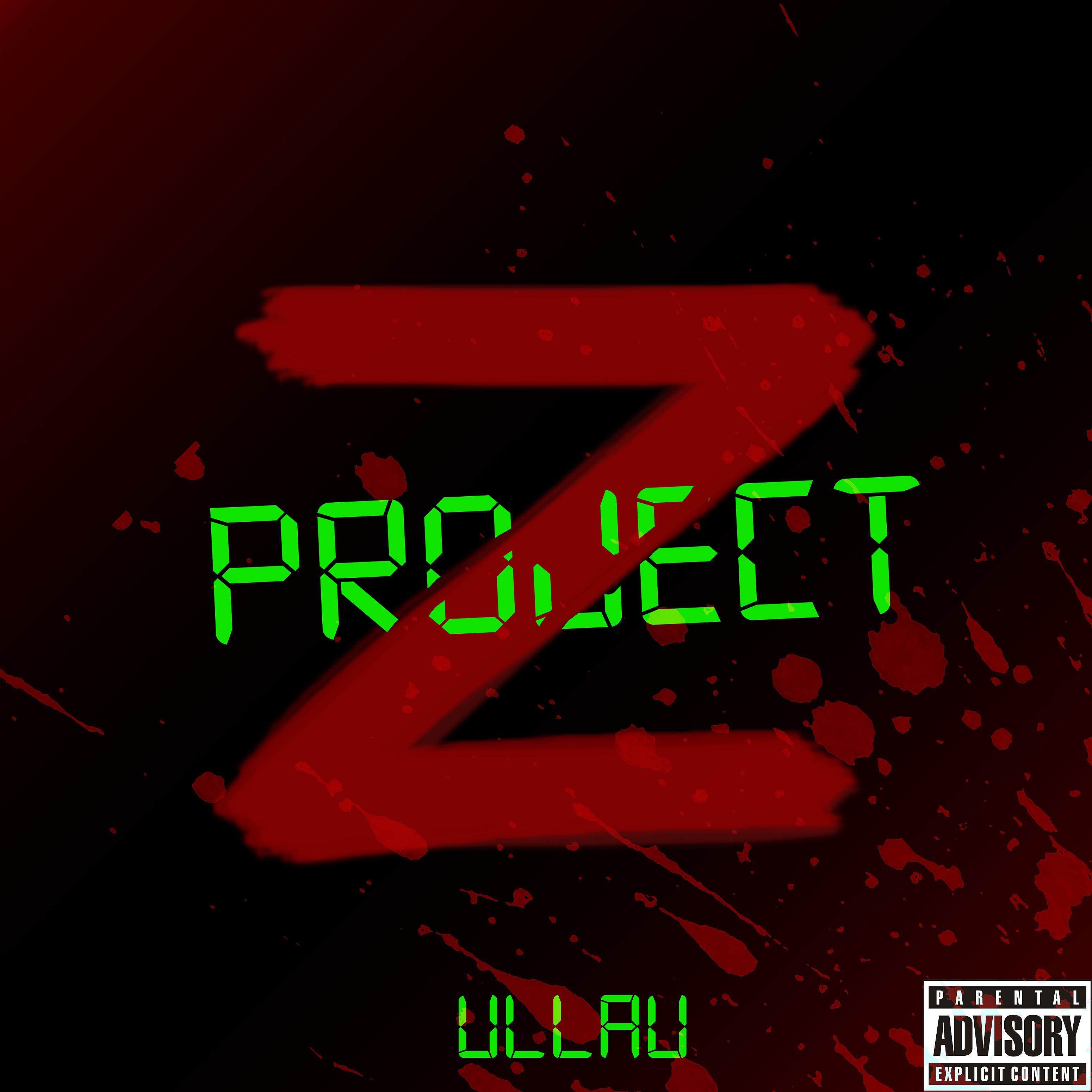 Постер альбома Project Z