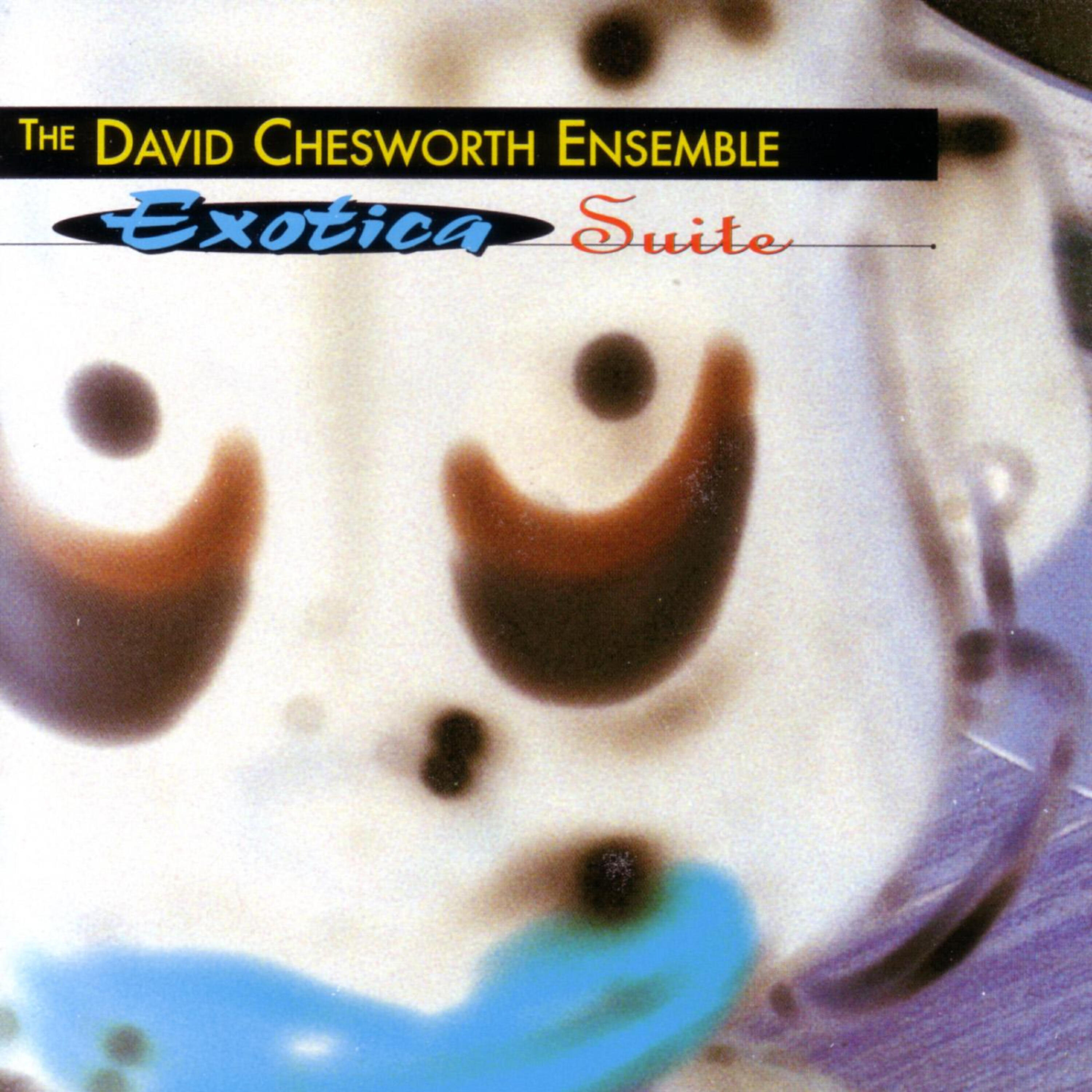 David Chesworth Ensemble - Duet #1