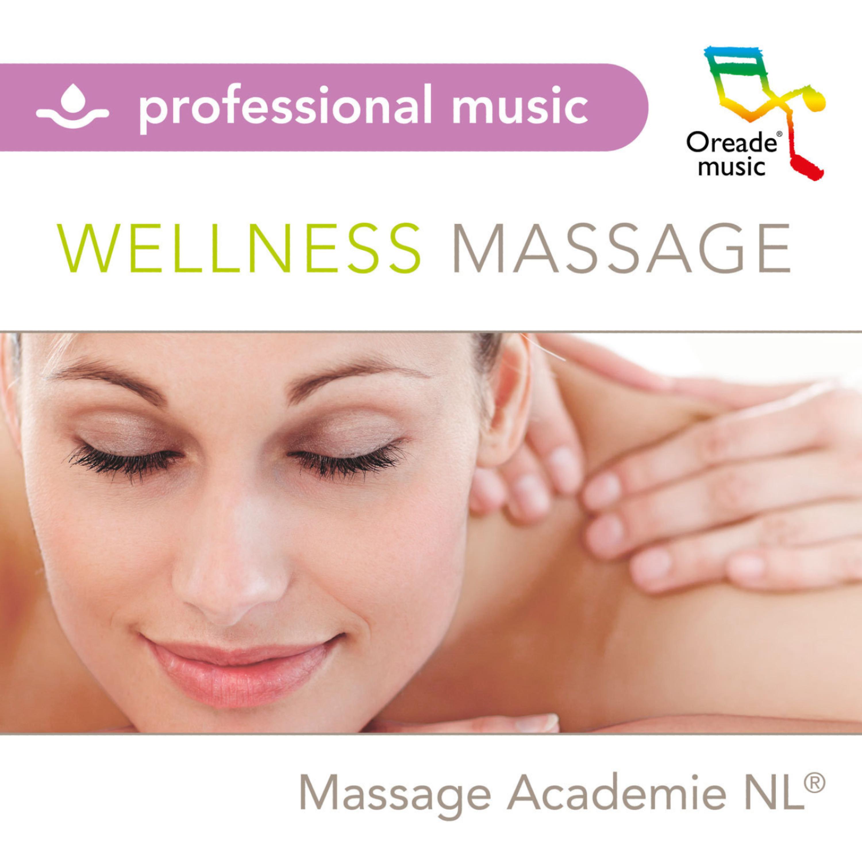 Постер альбома Wellness Massage