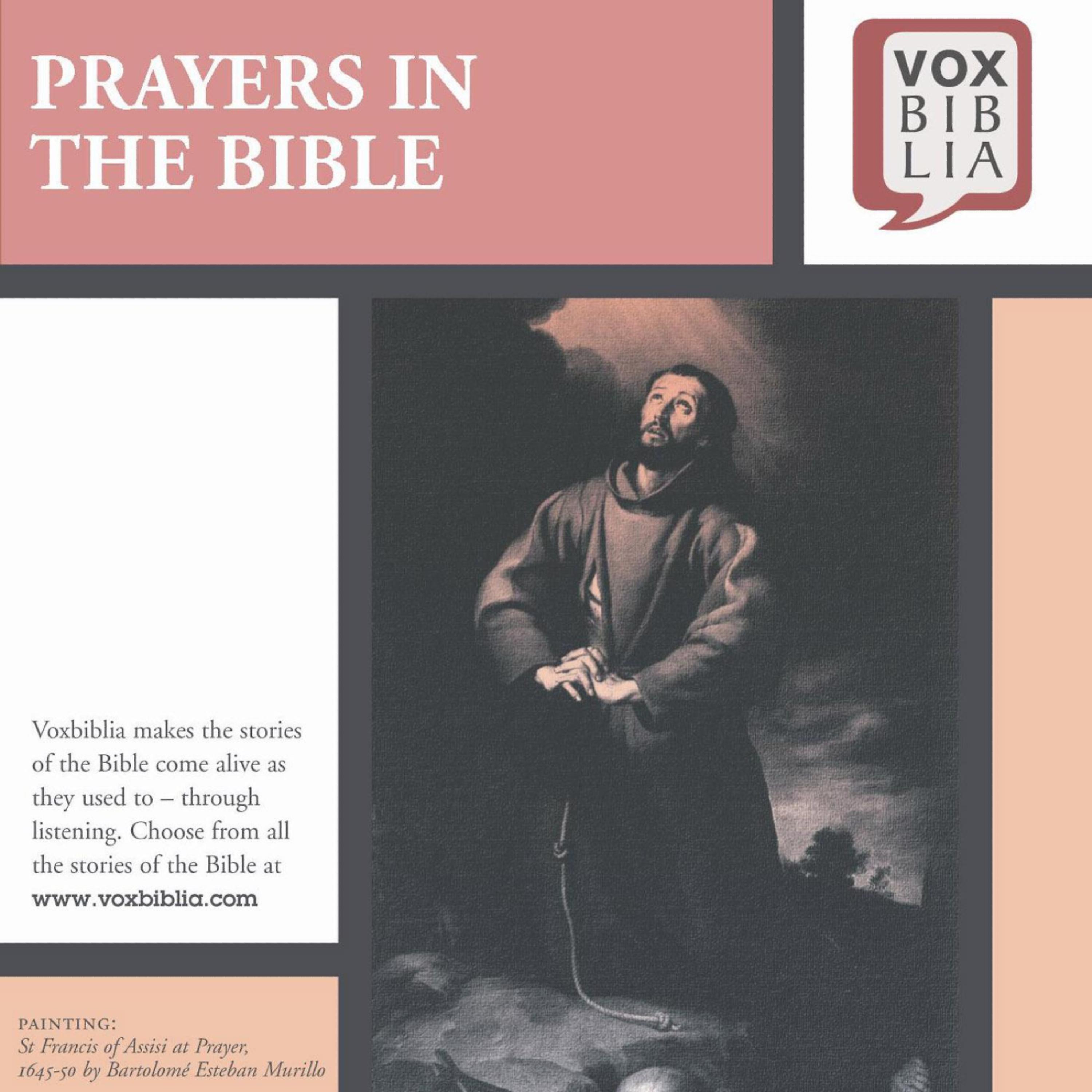 Постер альбома Prayers In The Bible