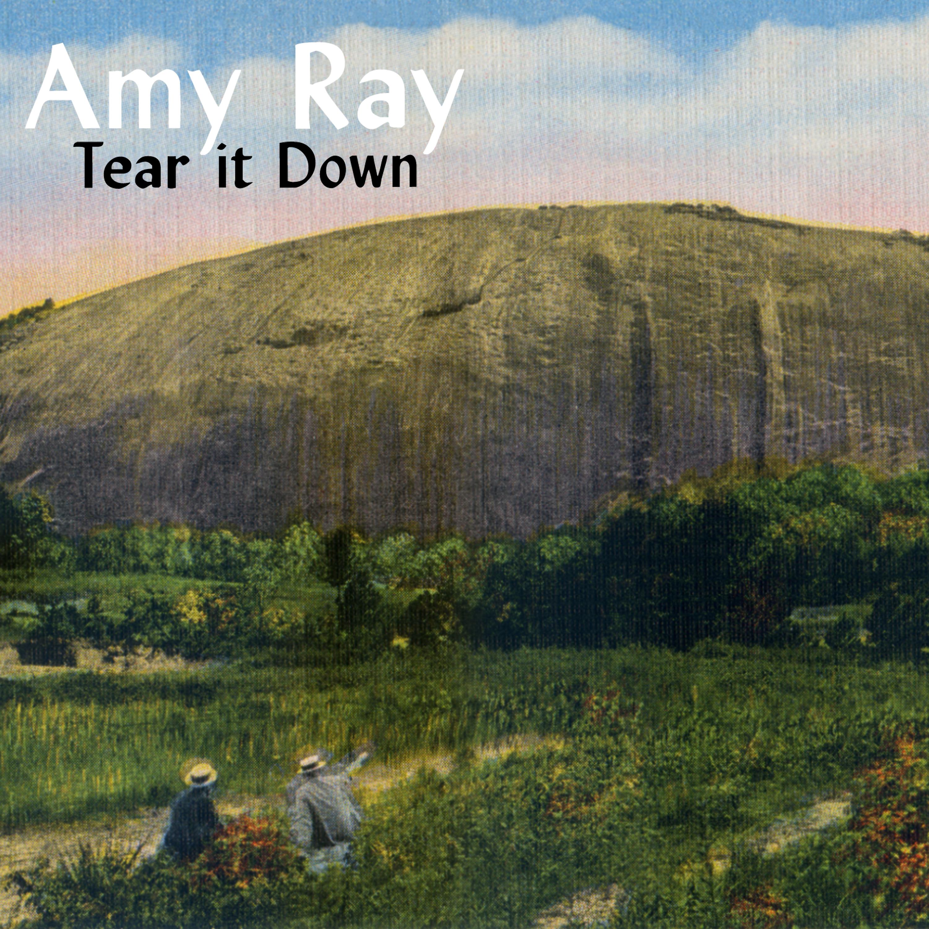 Постер альбома Tear It Down (Video Mix)
