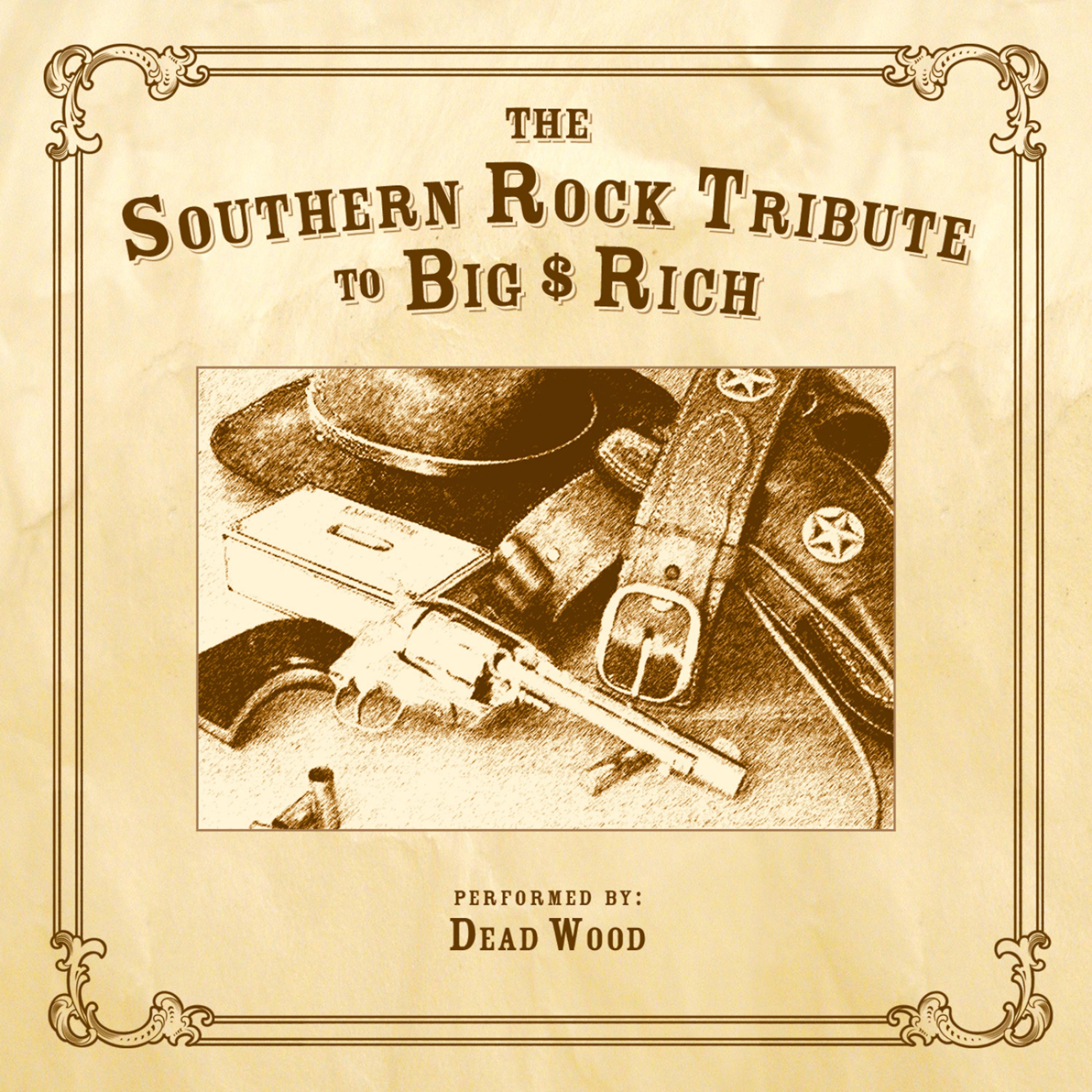Постер альбома The Southern Rock Tribute to Big & Rich performed by Dead Wood