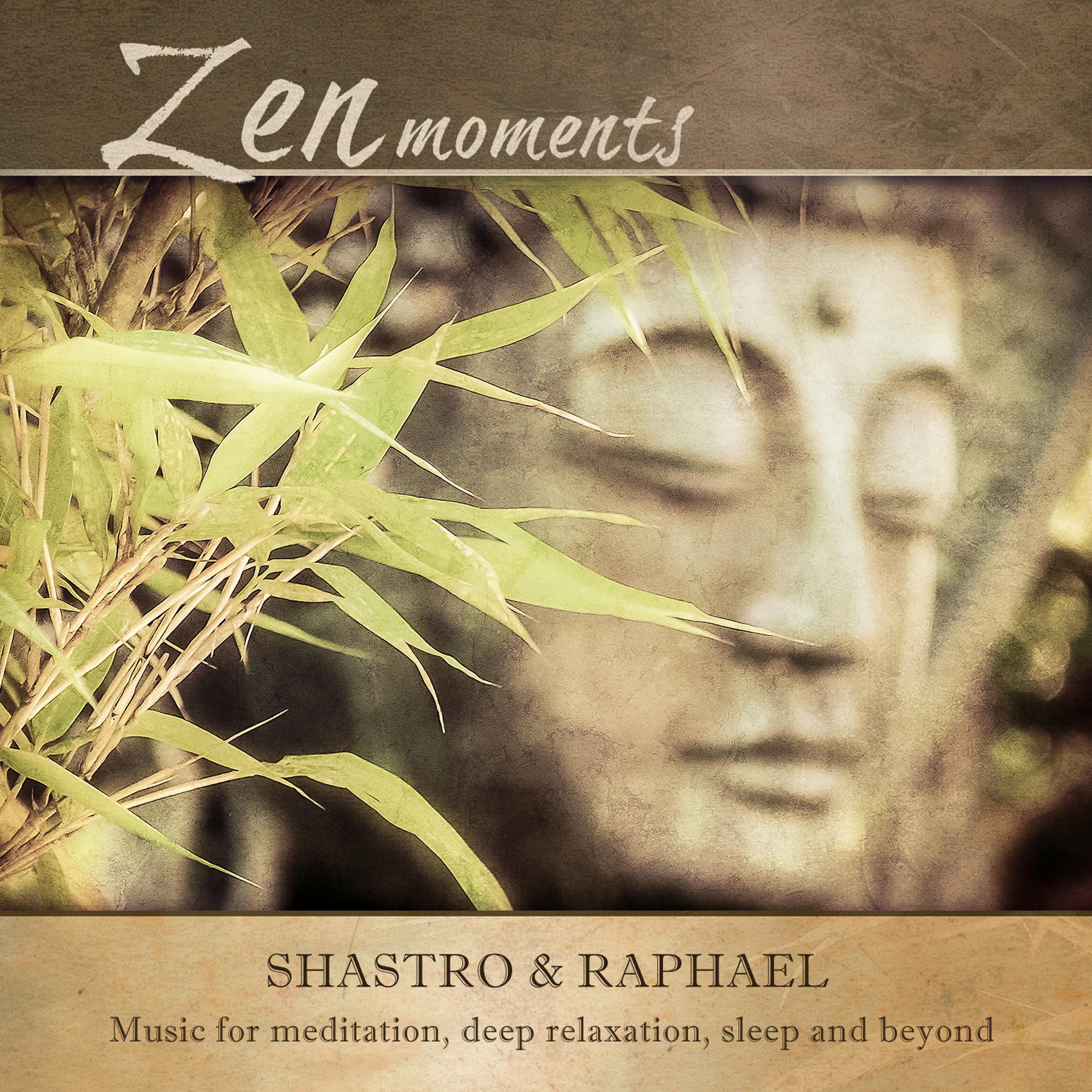Постер альбома Zen Moments