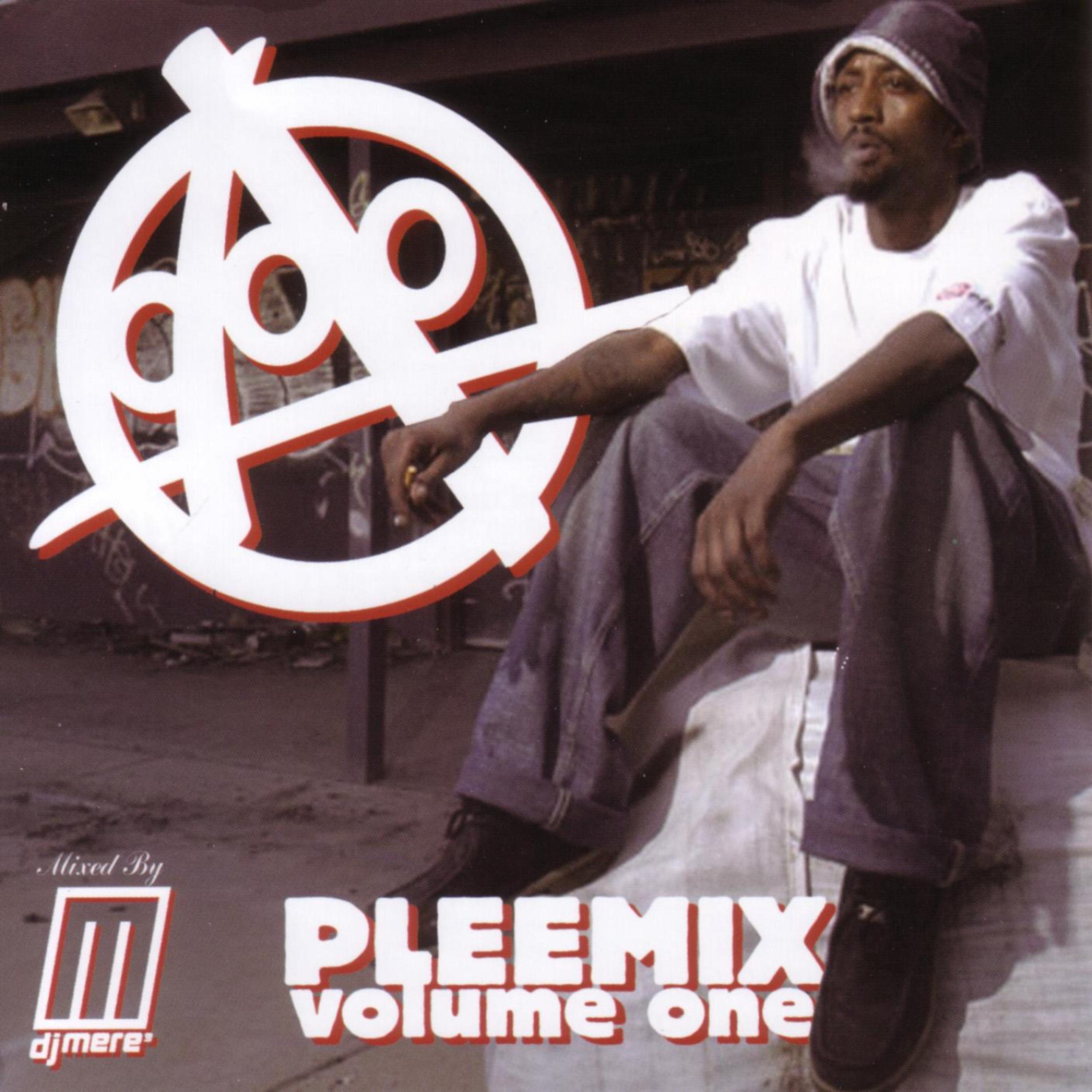 Постер альбома Pleemix Volume One