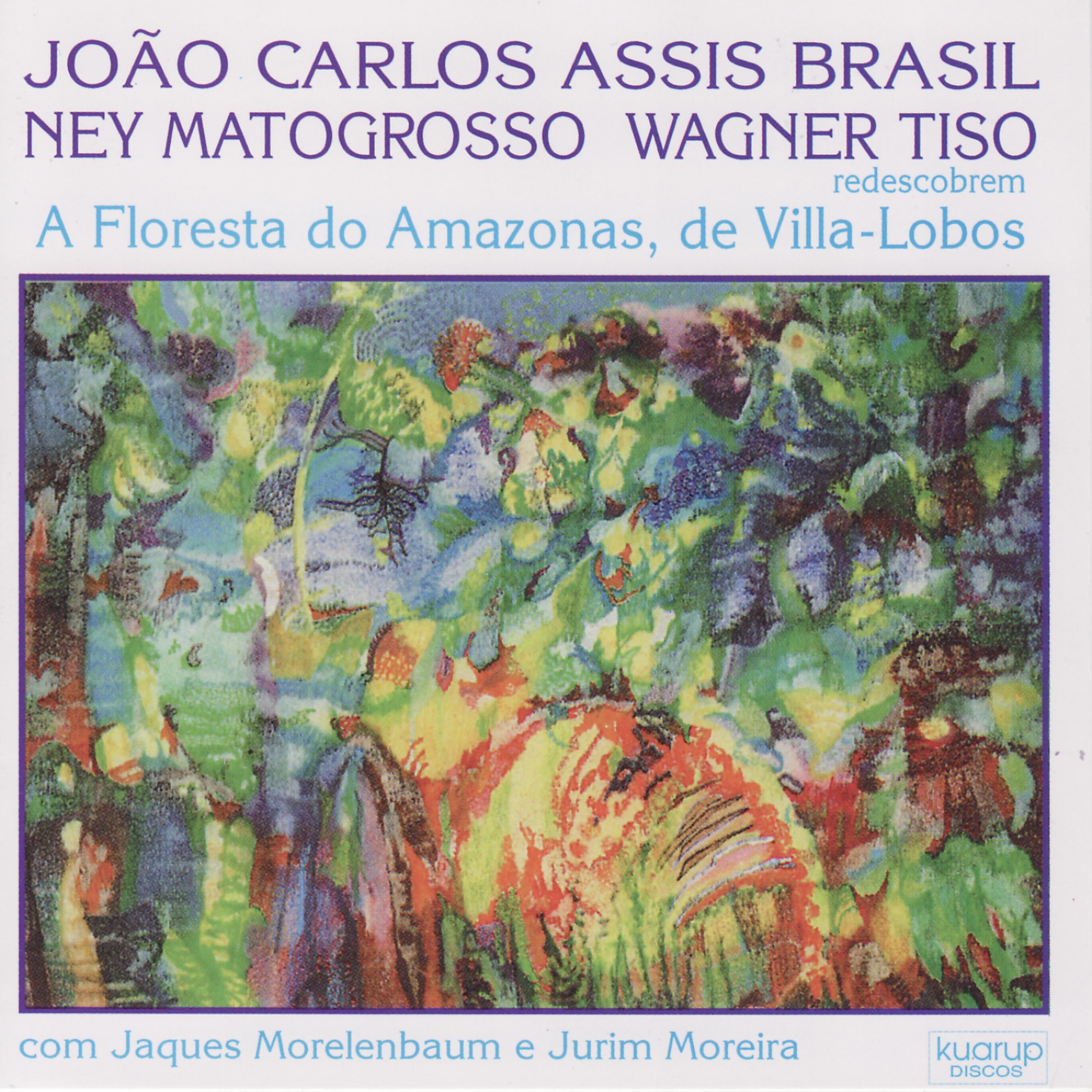 João Carlos Assis Brasil - Suite I Na Floresta - Pássaros