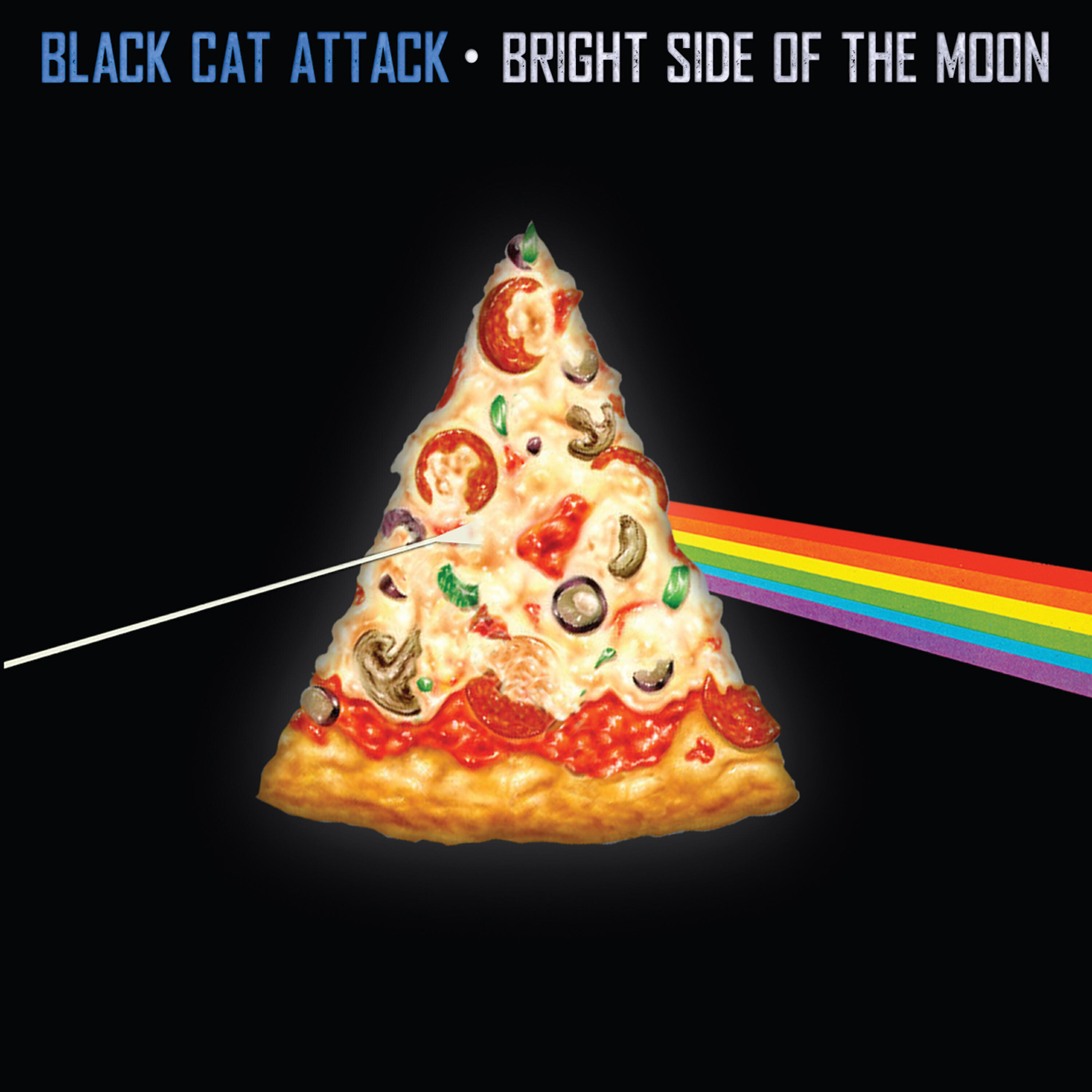 Black Cat Attack - Kitties in Space
