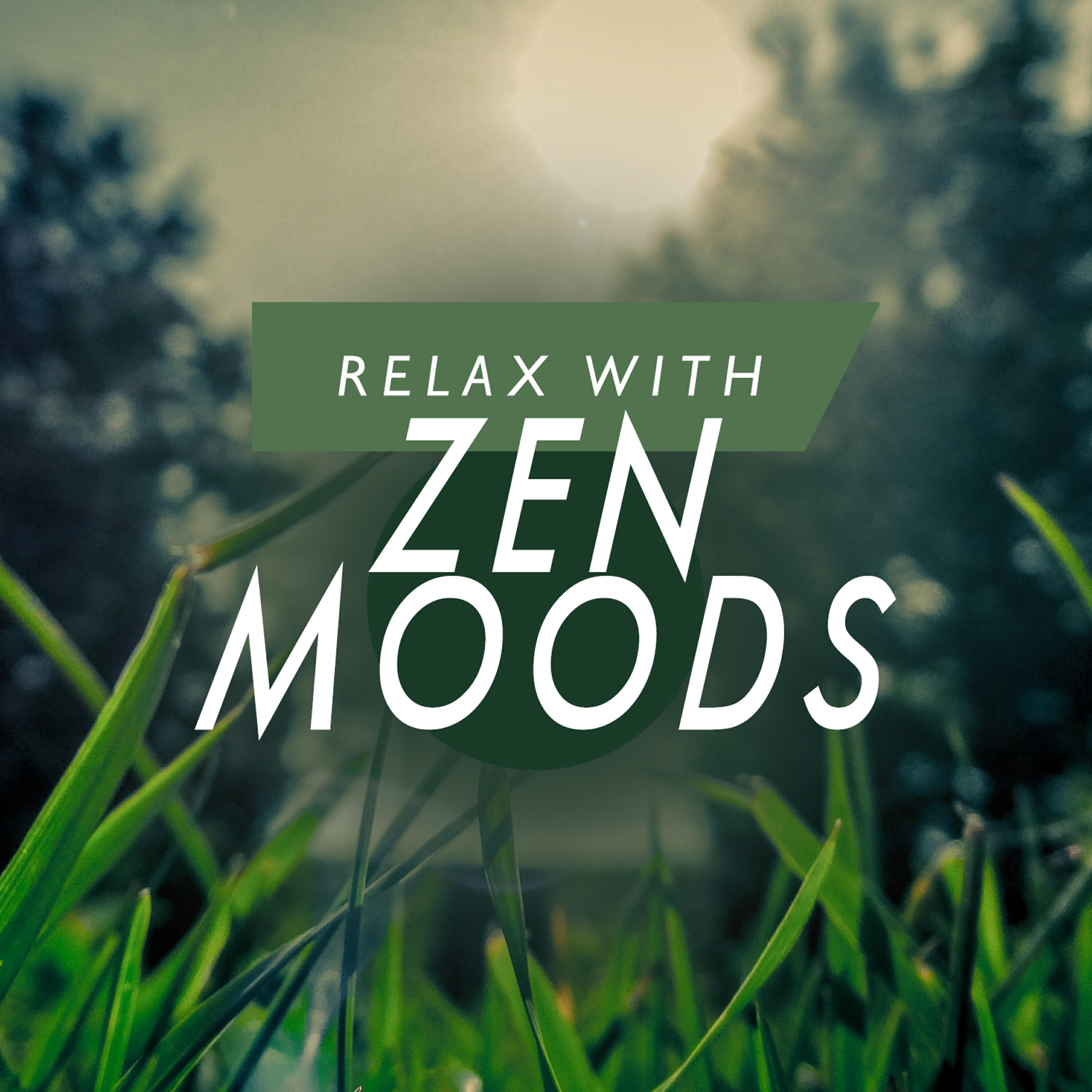 Relaxing Zen Moods - Solar Awakening
