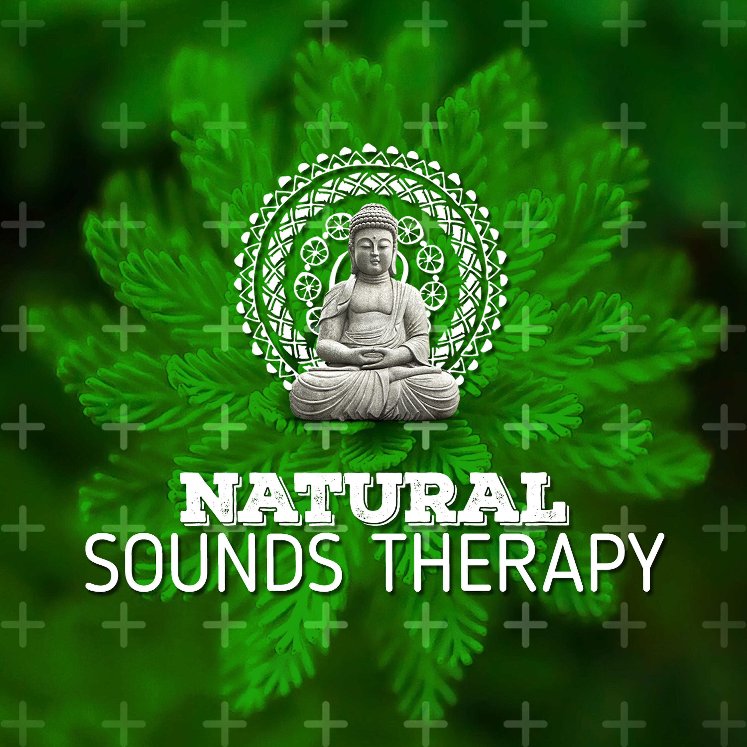 Nature Sounds Therapy - Life at the Start of the Stream