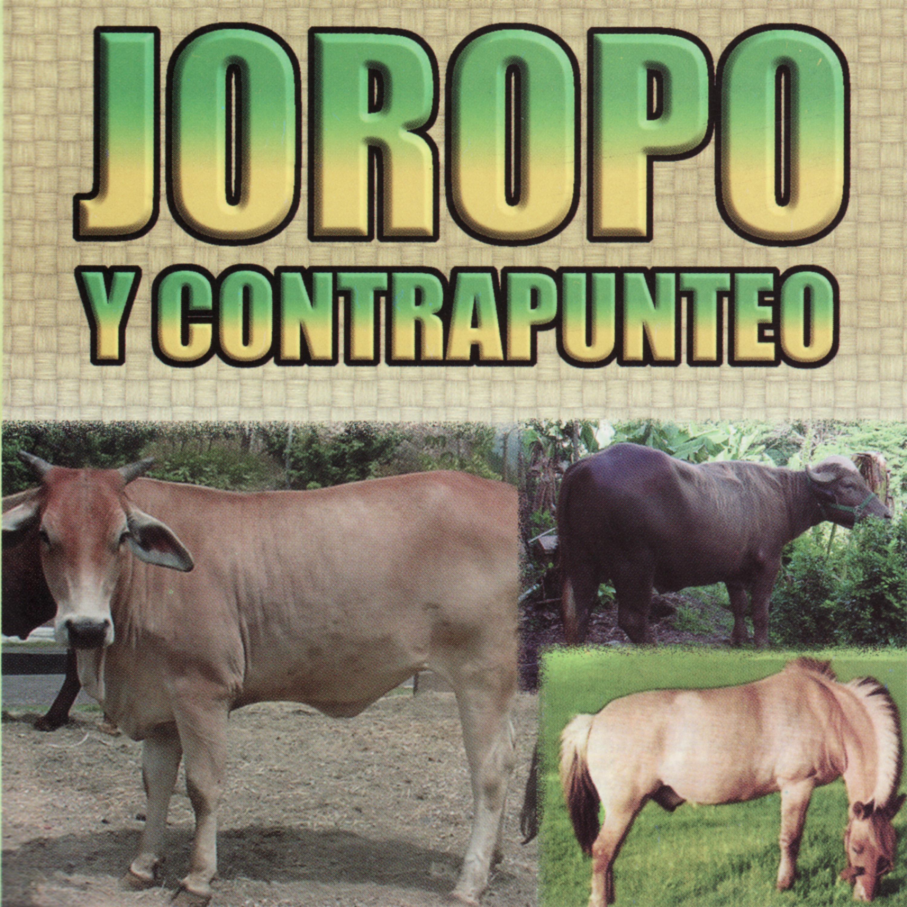 Постер альбома Joropo y Contrapunteo