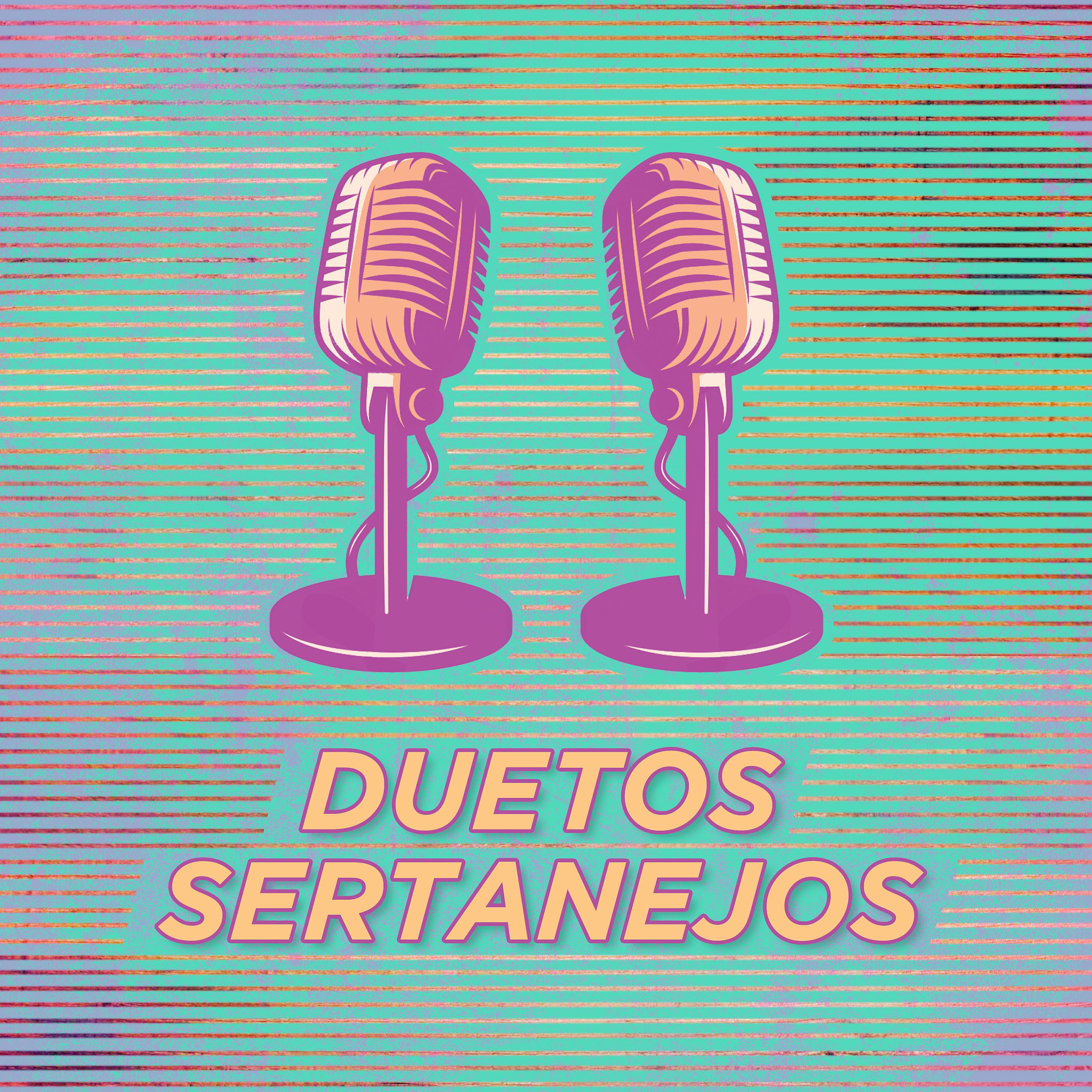 Постер альбома Hits Sertanejos – Melhores Duetos
