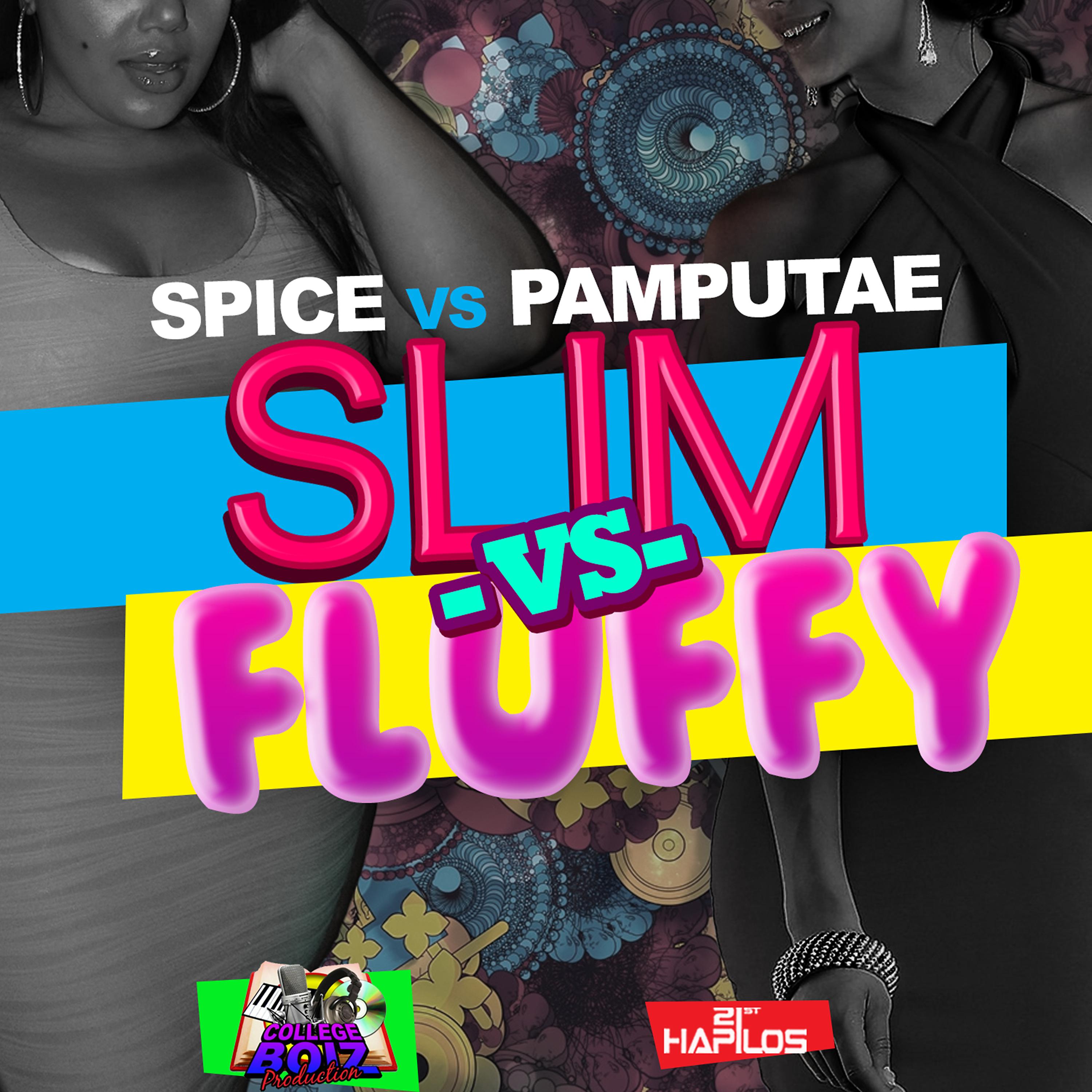 Постер альбома Slim vs Fluffy - Single