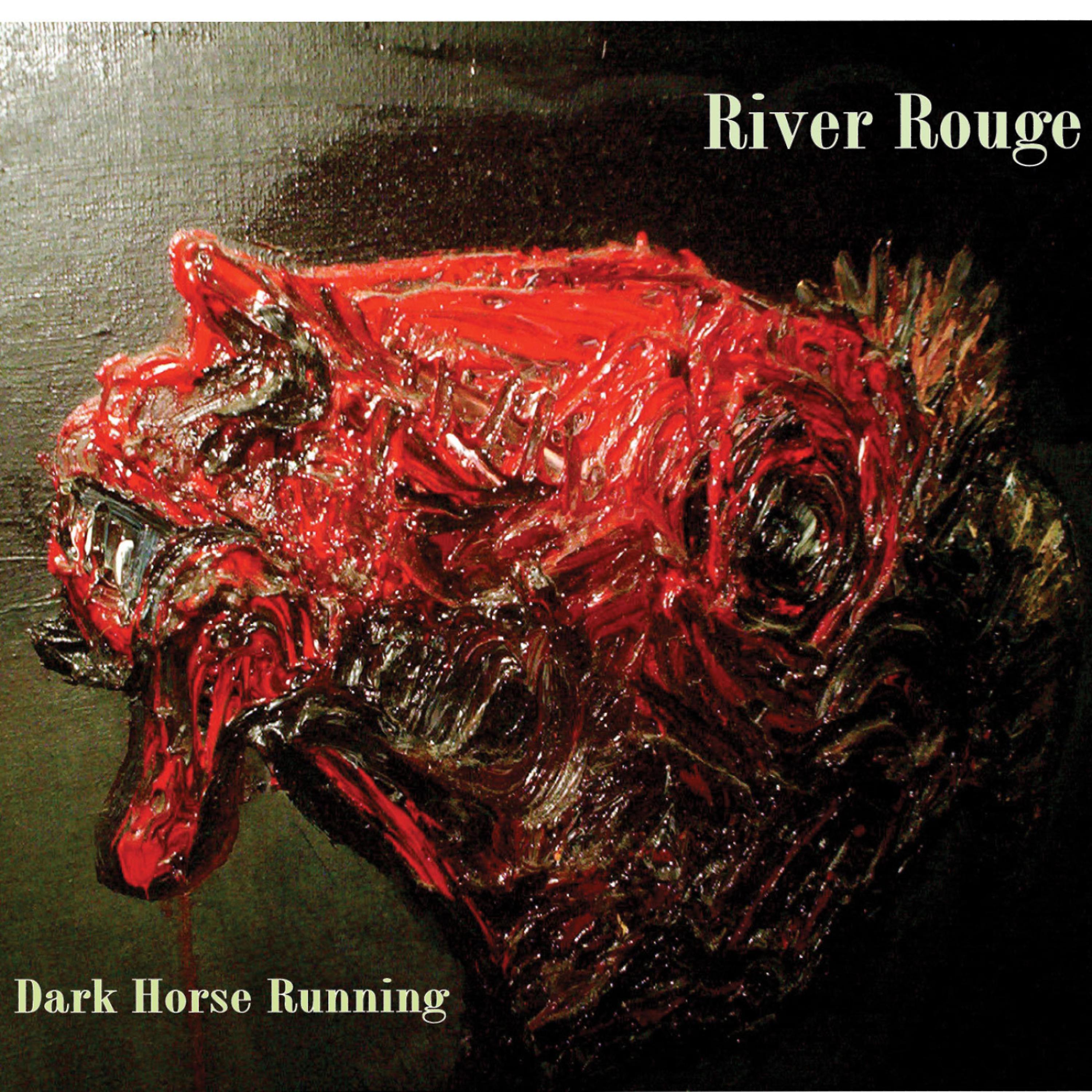 Постер альбома Dark Horse Running