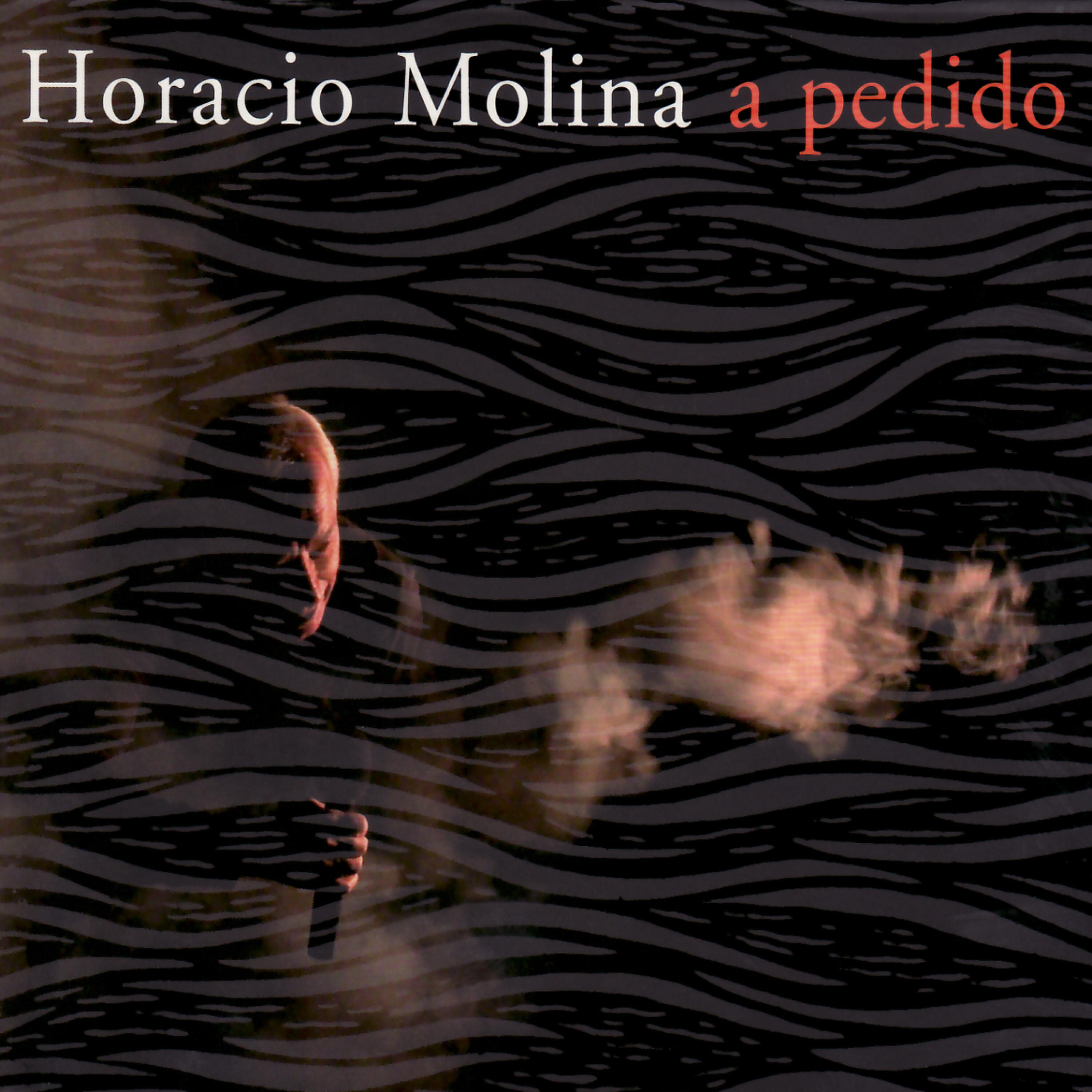 Horacio Molina - Garúa (Live)