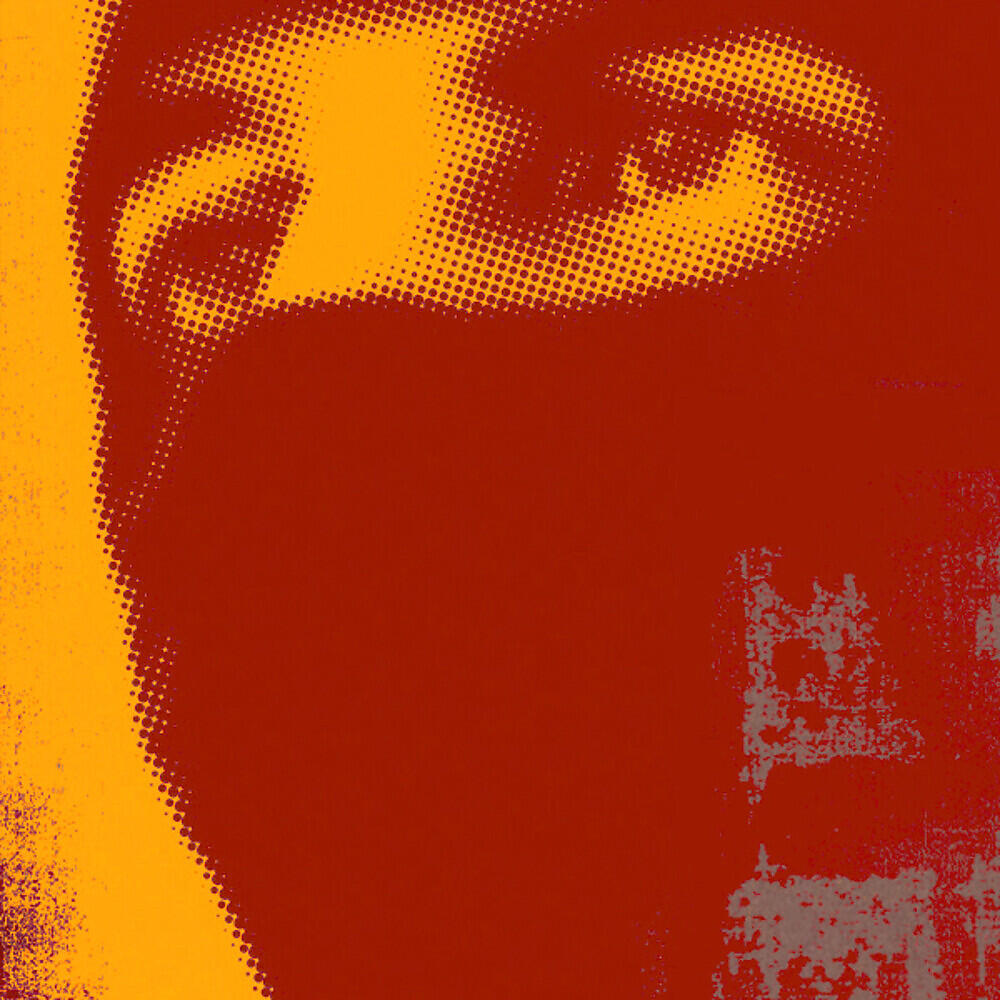 Thievery Corporation - Mandala (Pathaan Remix)