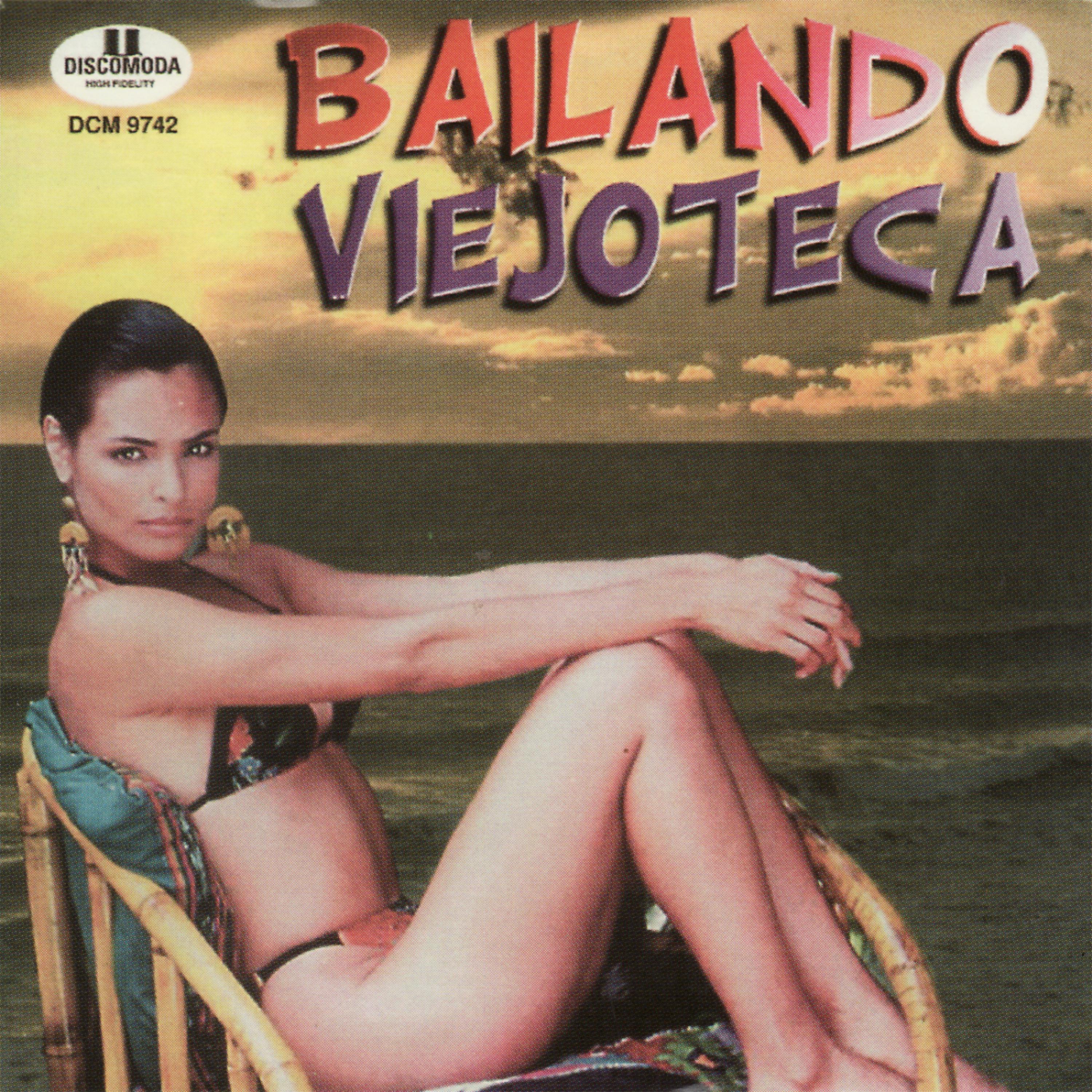 Постер альбома Bailando Viejoteca
