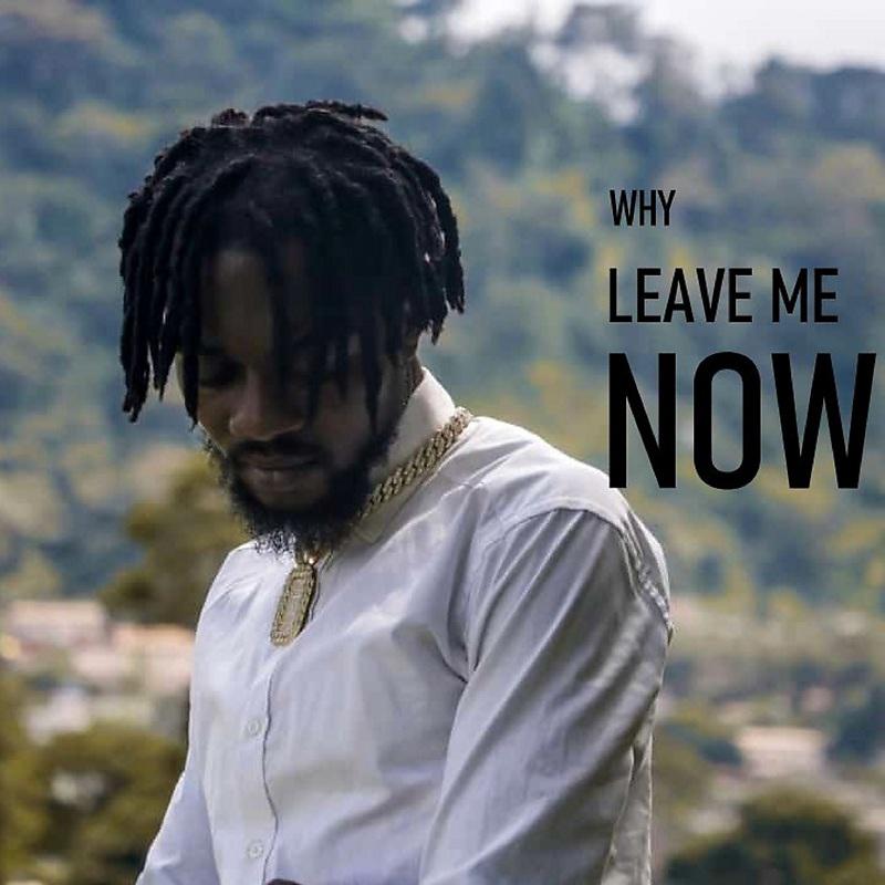 Постер альбома Why Leave Me Now
