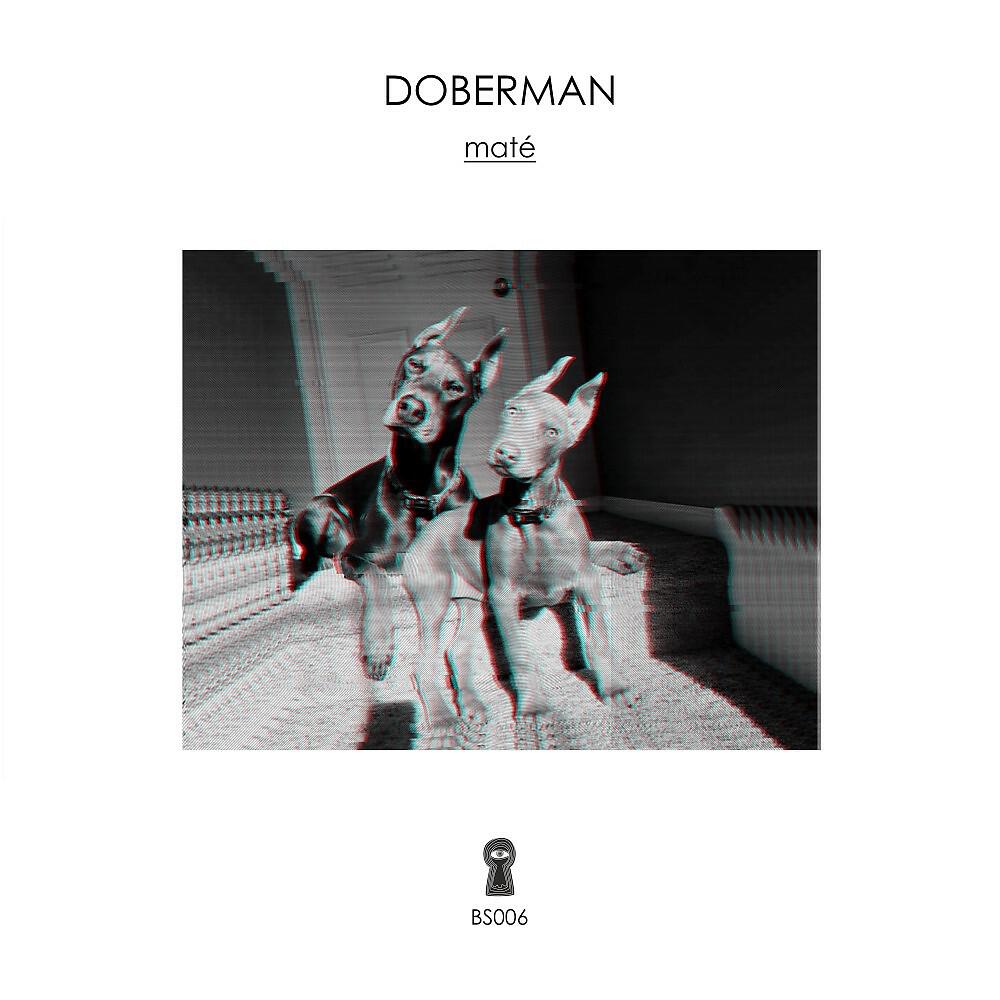 Maté - Doberman