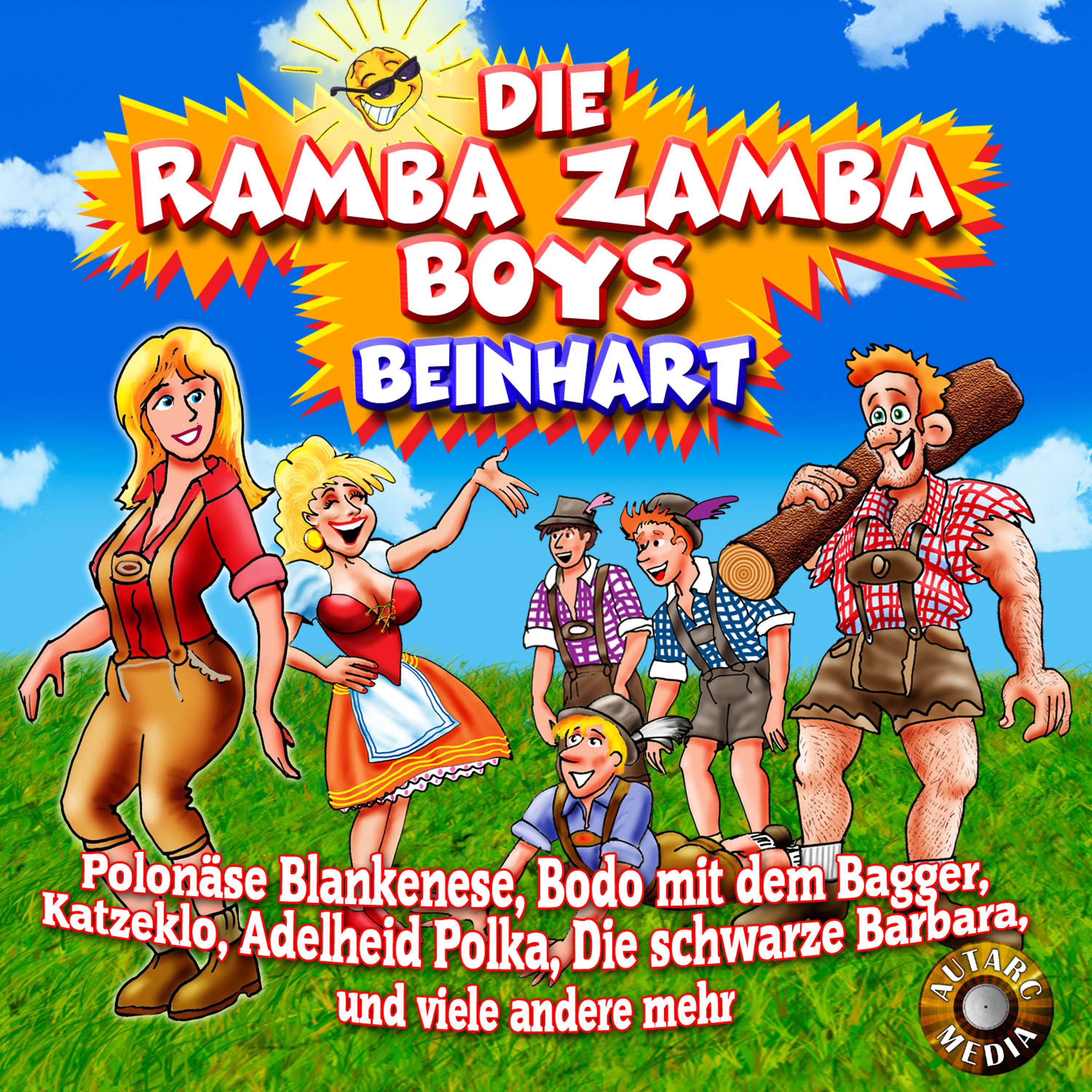 Постер альбома Beinhart