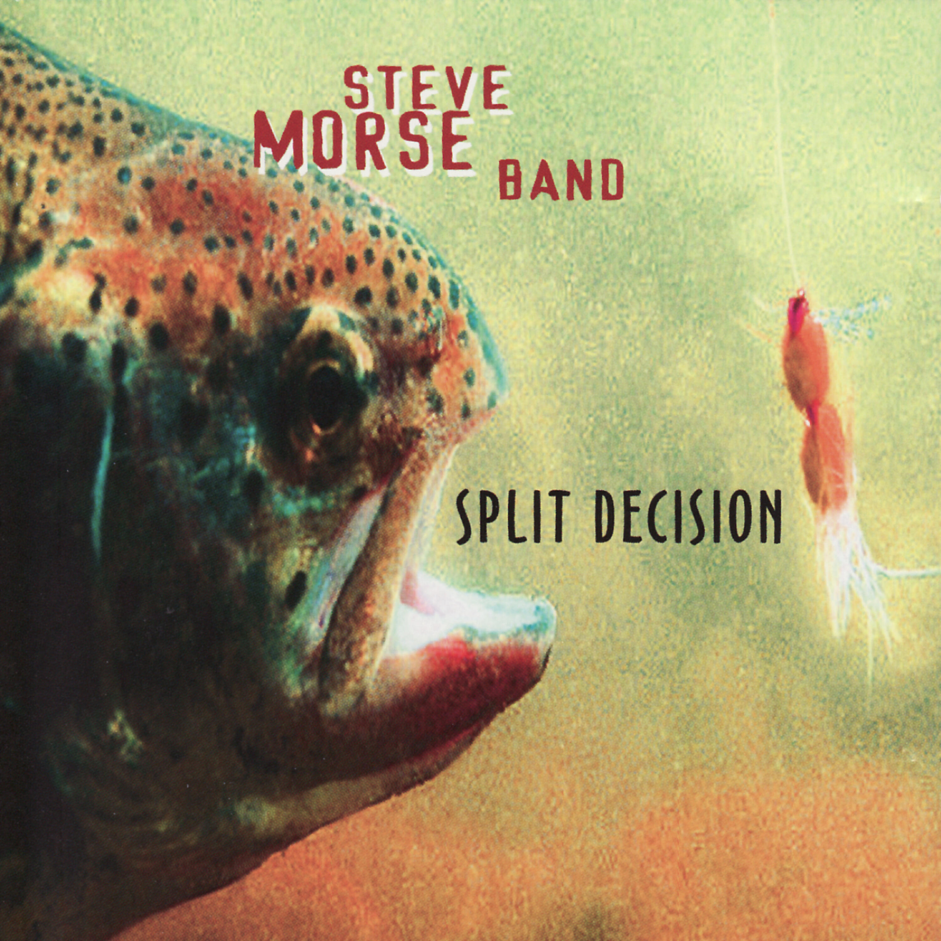 Steve Morse - Natural Flow