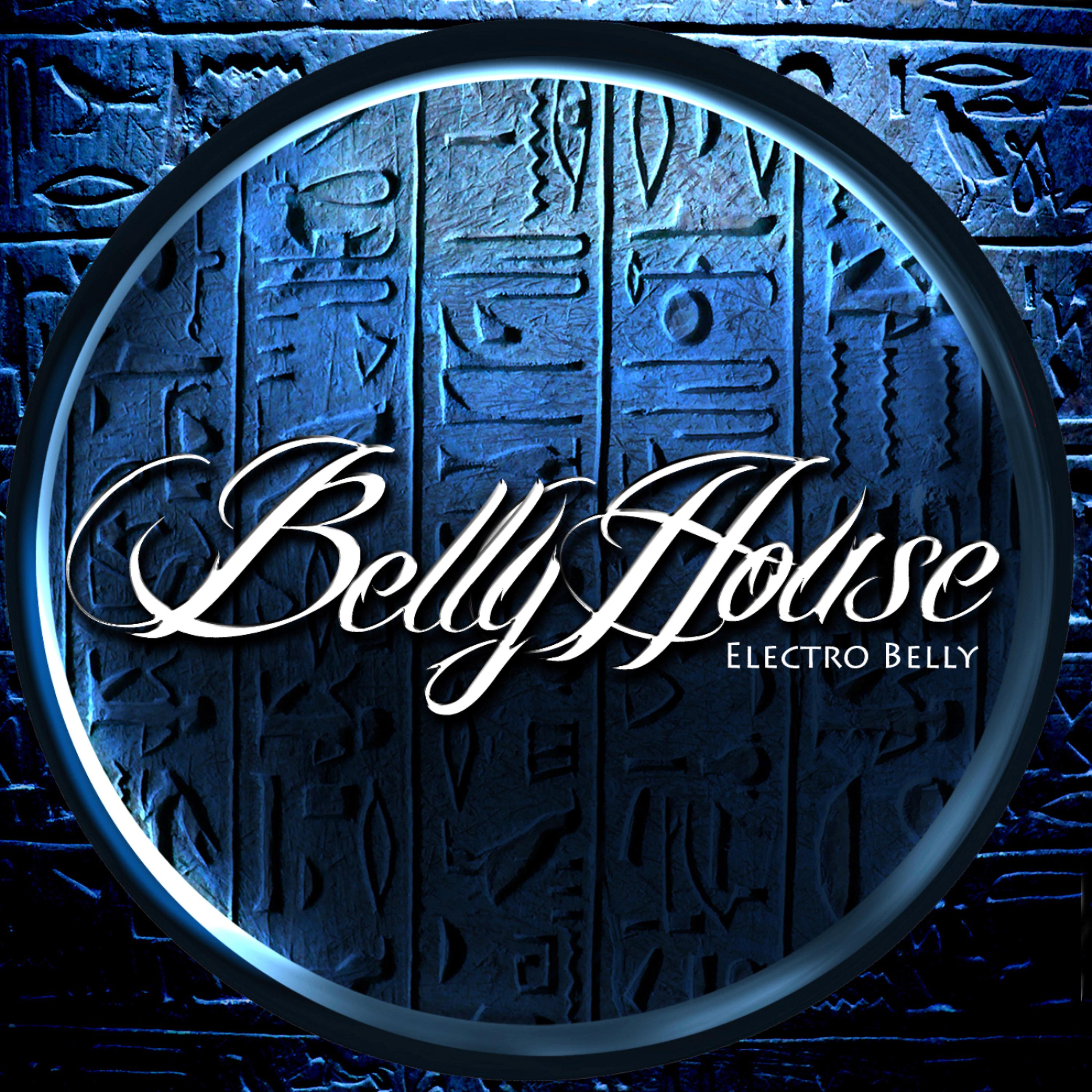 Постер альбома Electro Belly