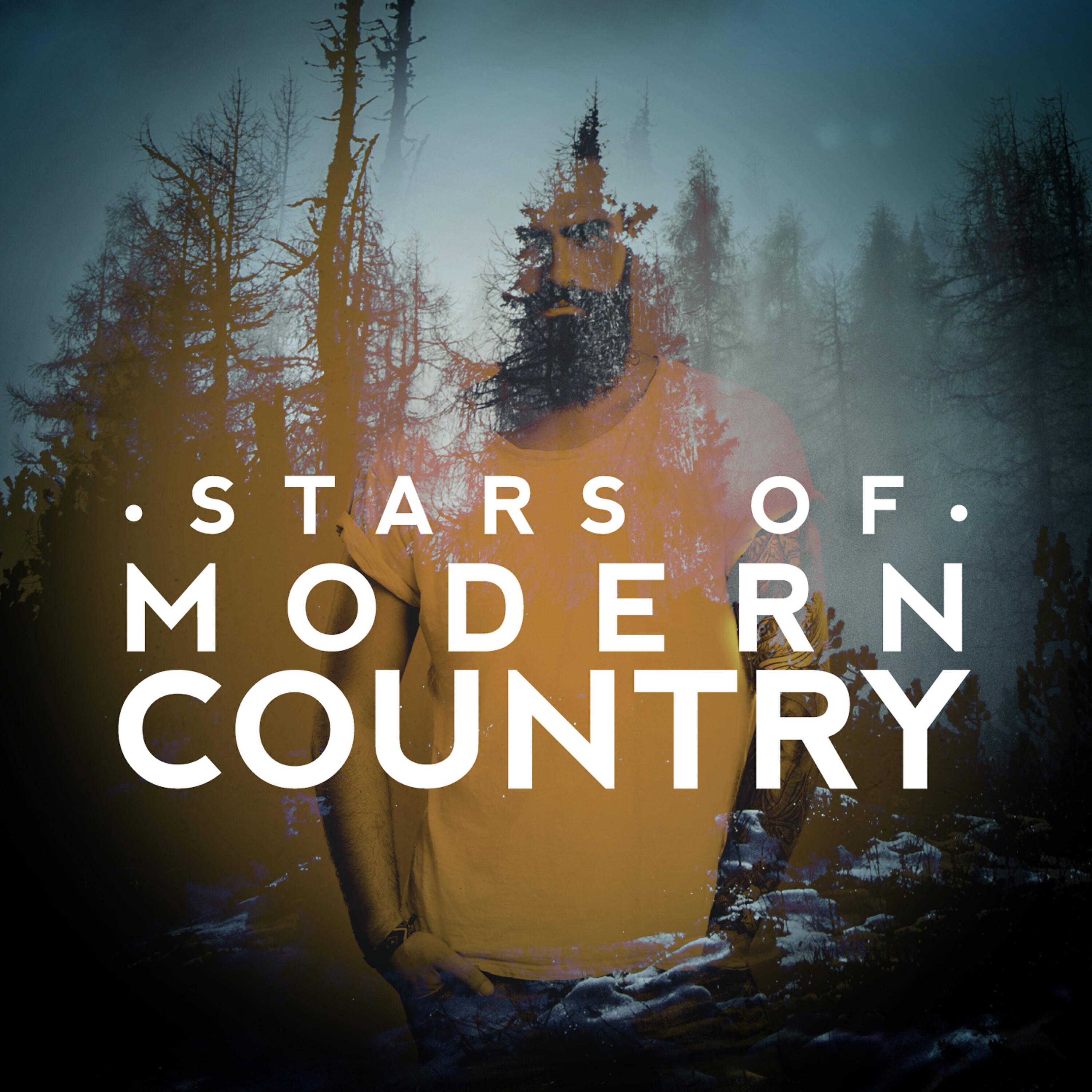 Country Hit Superstars - I Don't Know What She Said