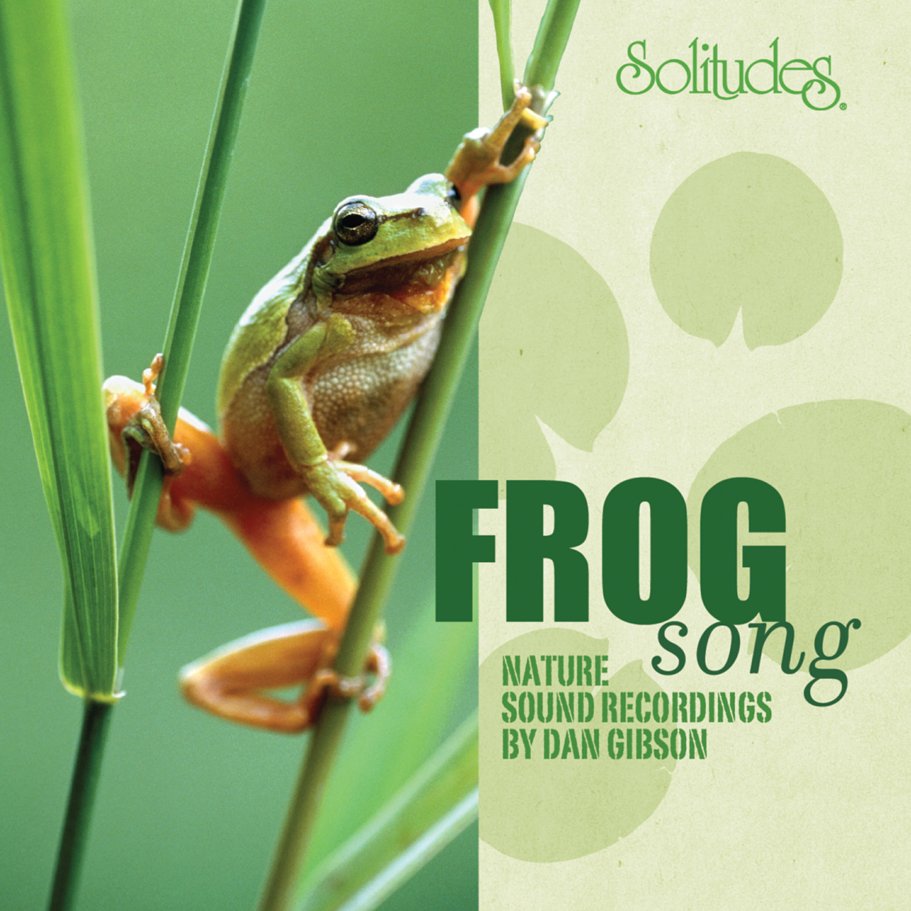Dan Gibson's Solitudes - Pacific Treefrog, Winter Wren, Varied Trush, Fox Sparrow, Robin