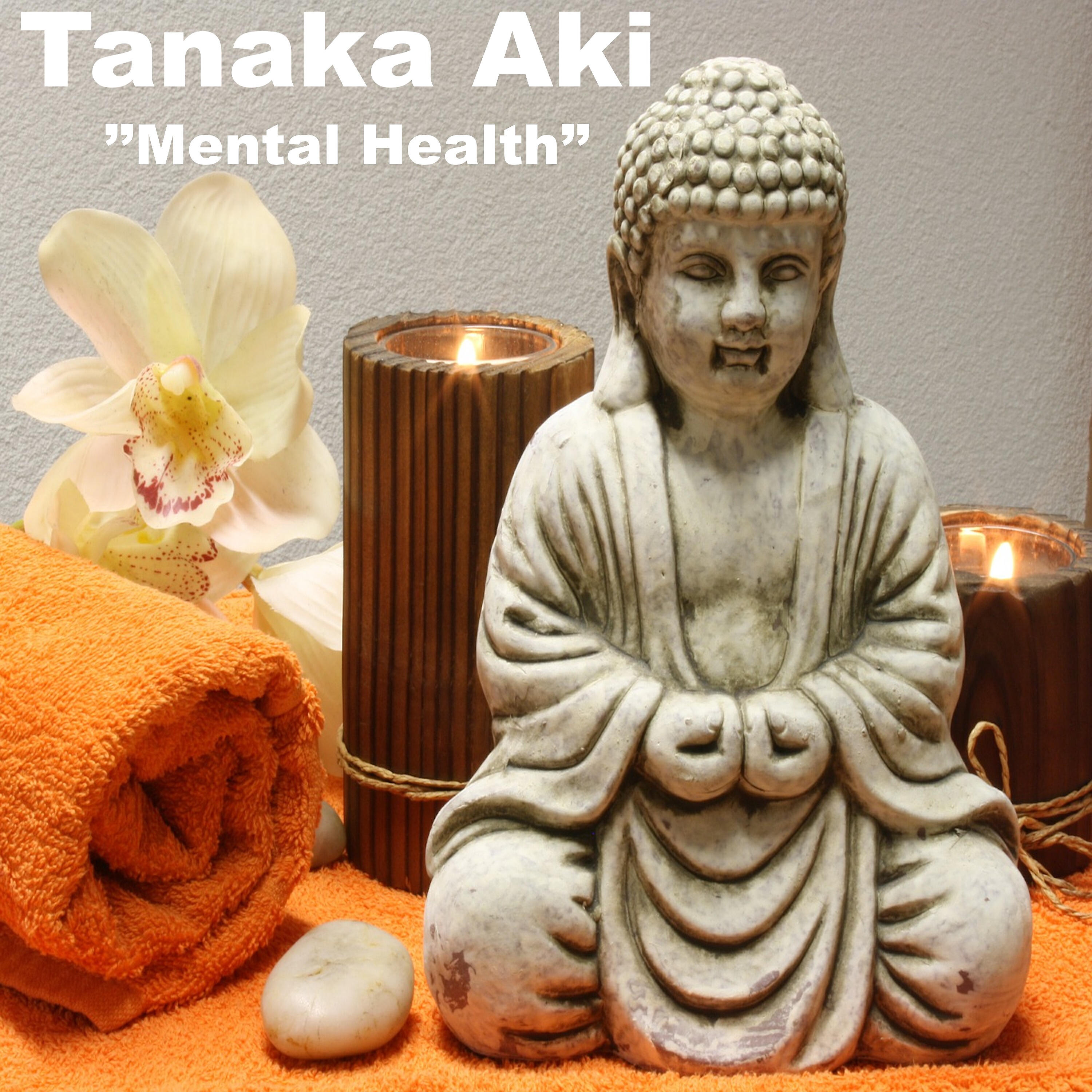 Tanaka AKI - Musical Infusion