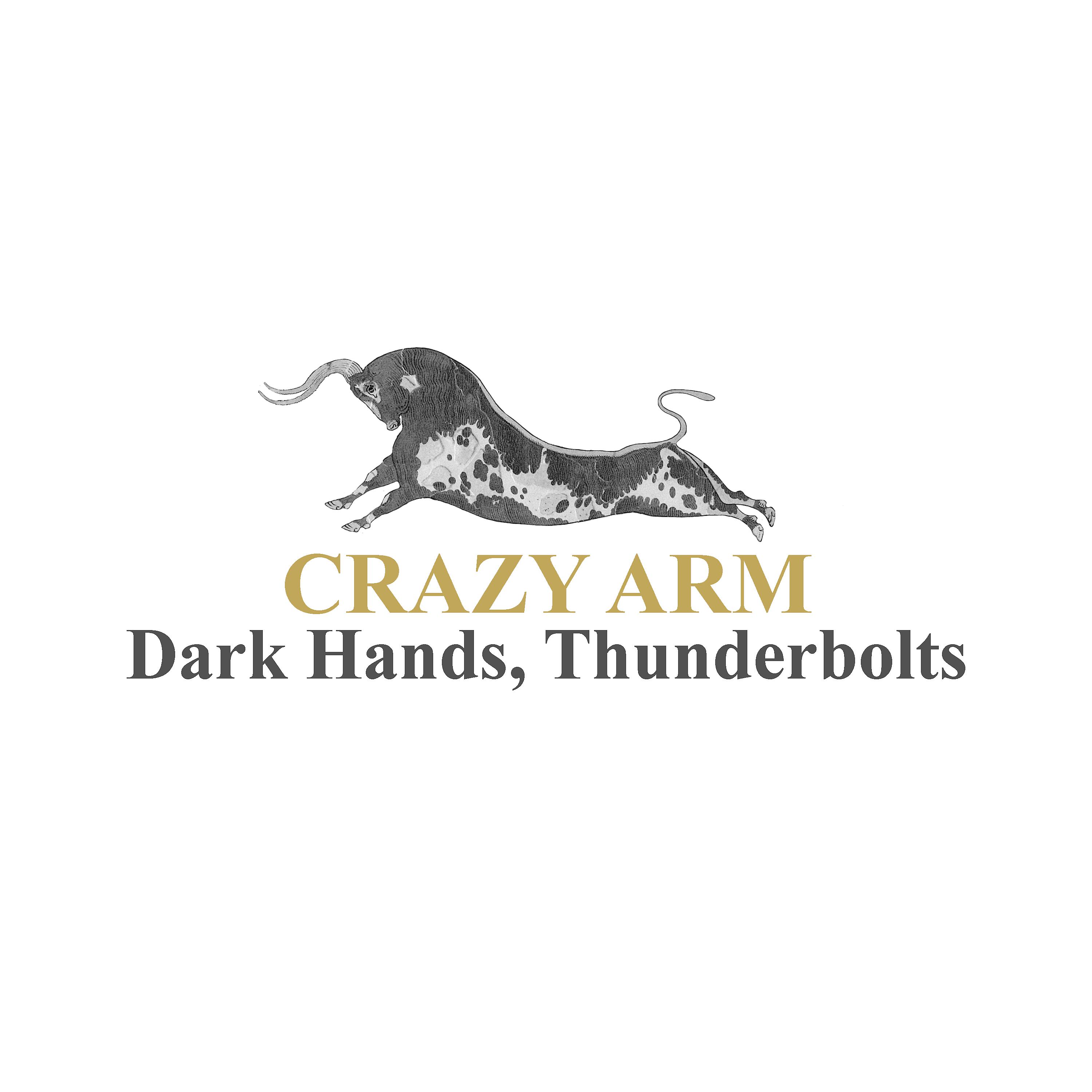 Постер альбома Dark Hands, Thunderbolts