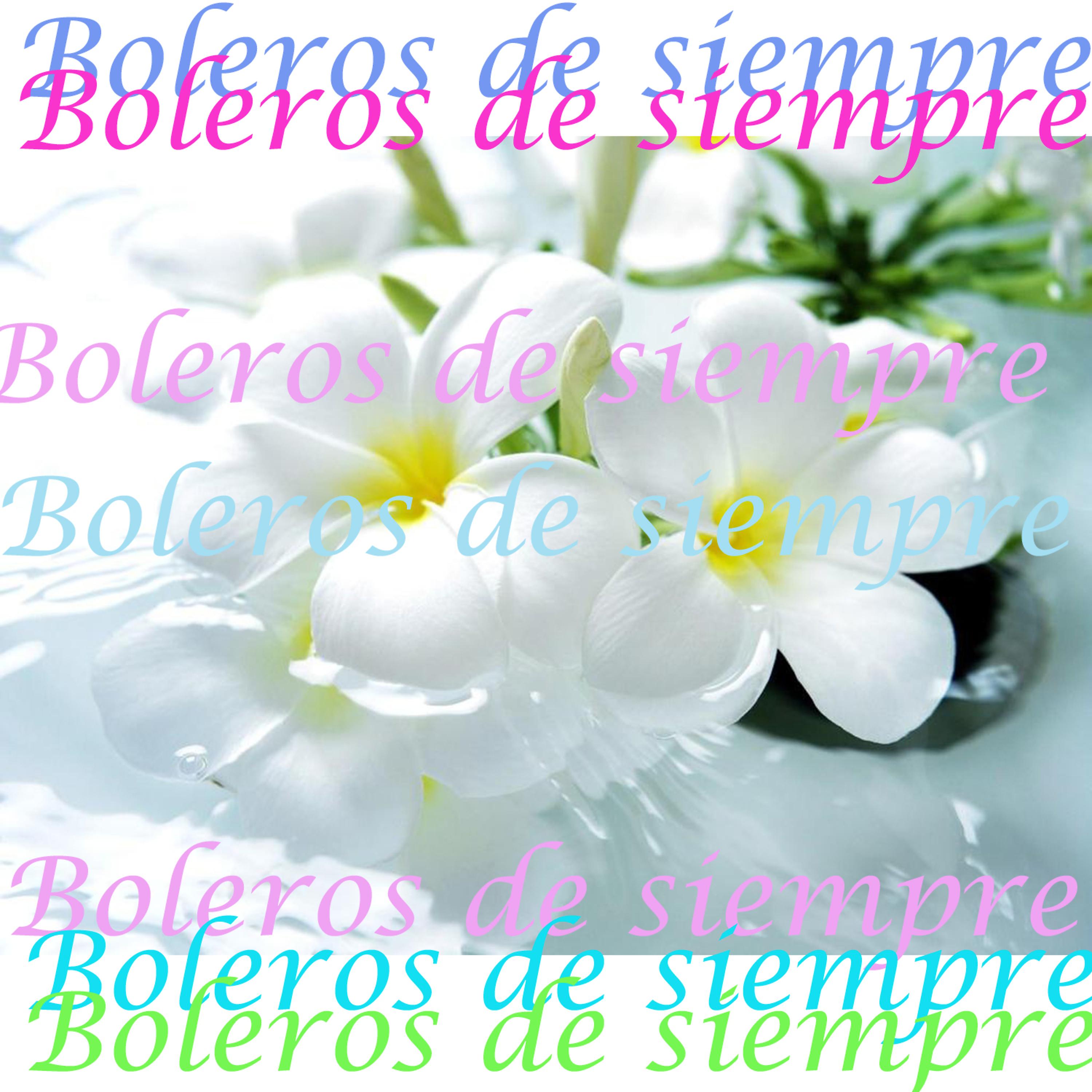 Постер альбома Boleros de Siempre
