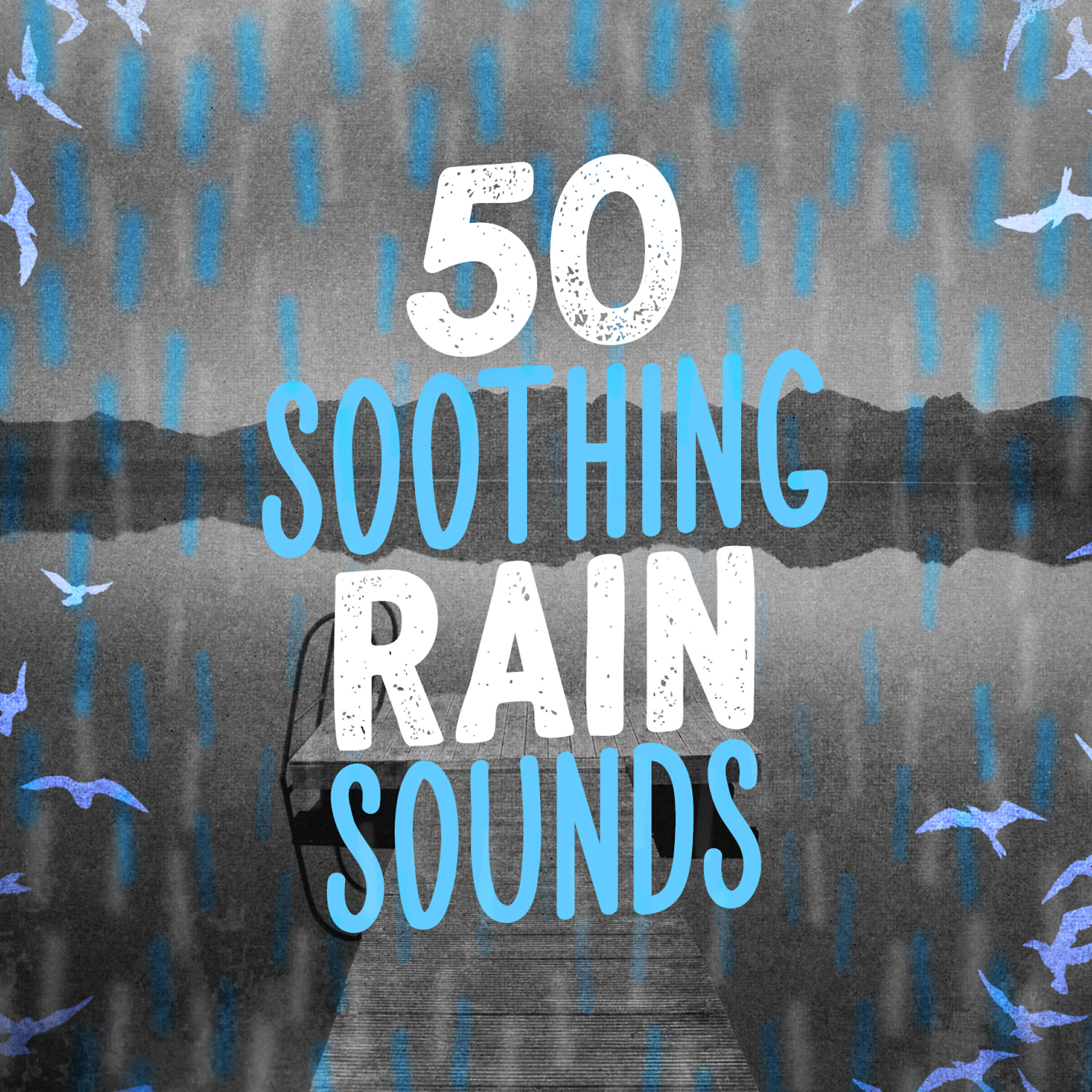 The Rain Sound Sleep Workshop - Start of the Downpour