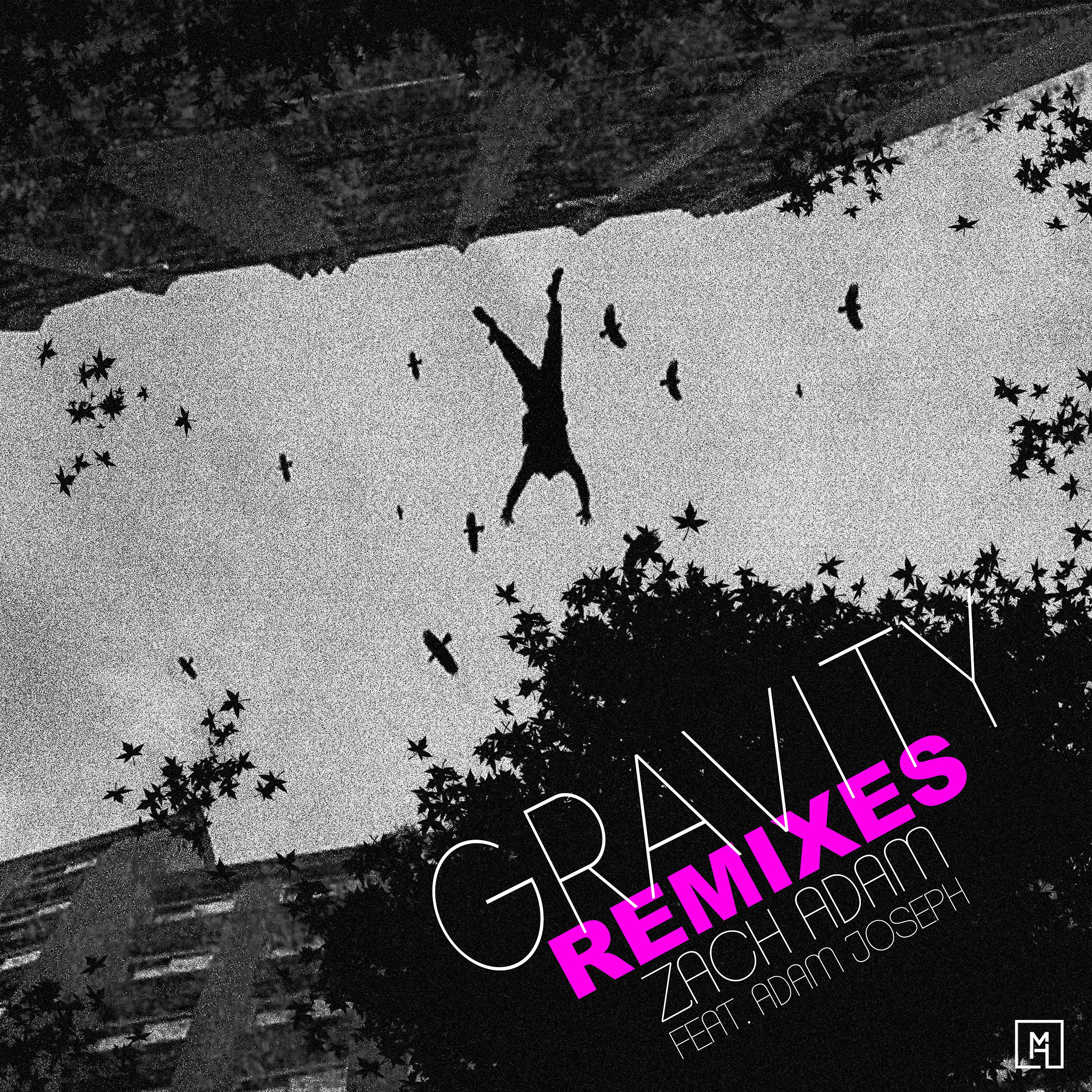Постер альбома Gravity (Remixes)