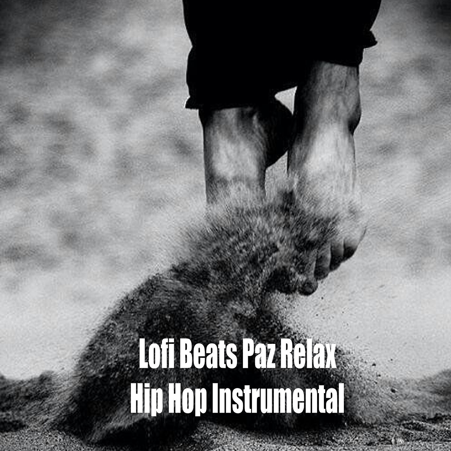 LO-FI BEATS - Lofi chillhop conquers