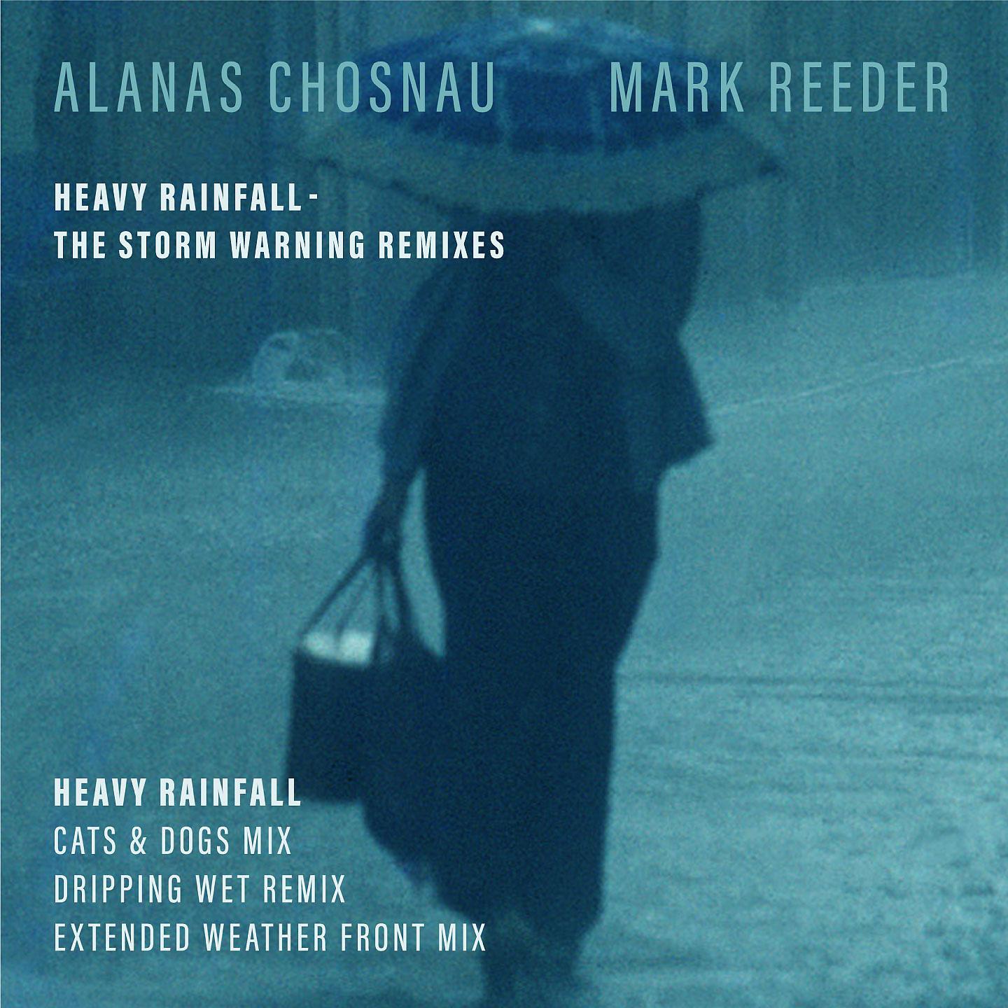 Постер альбома Heavy Rainfall - Storm Warning