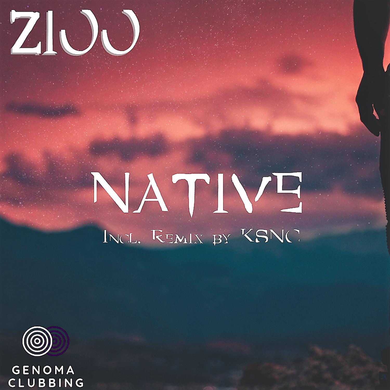 Постер альбома Native