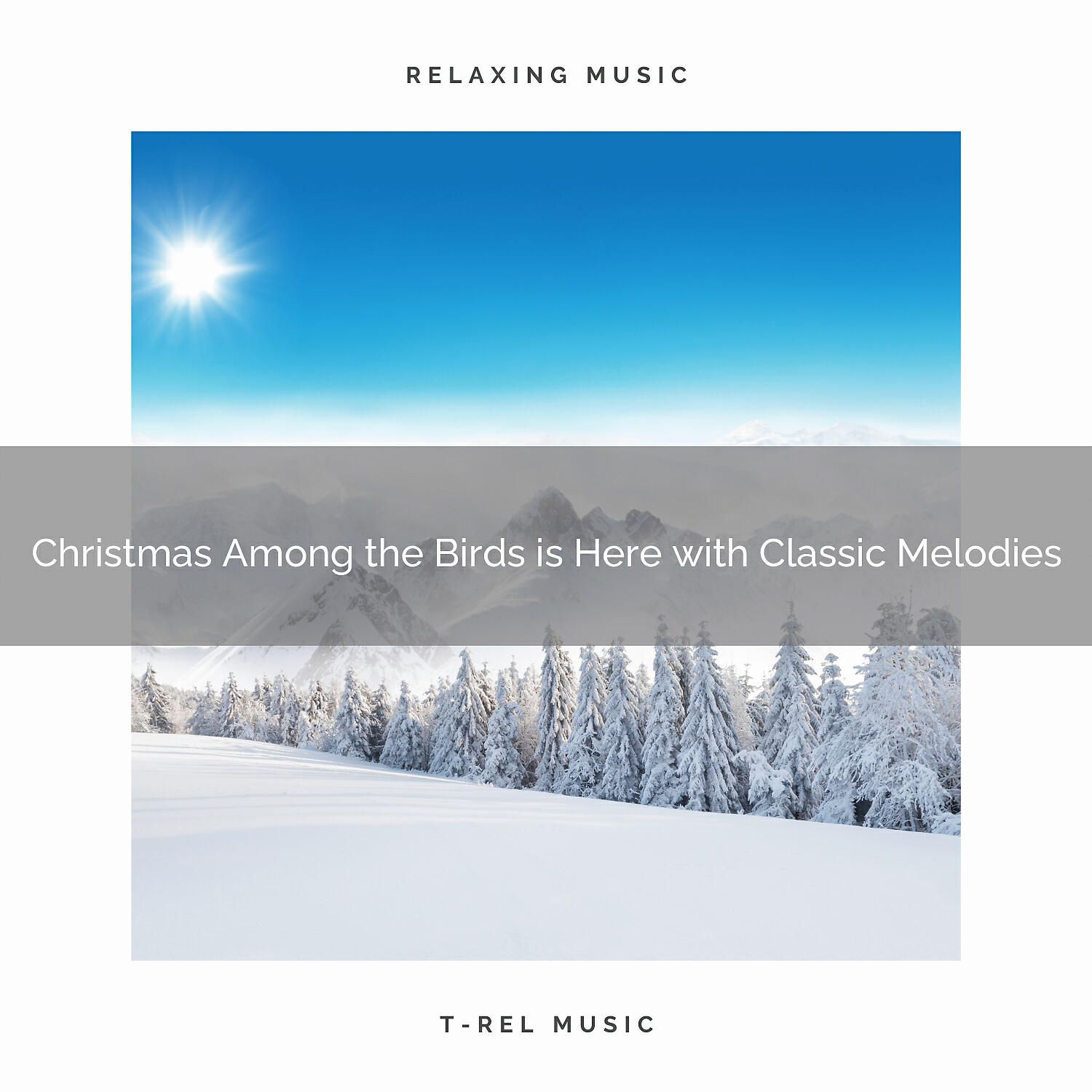 Sound Sleeping - Live Christmas with Calming Carols and Nature Noises