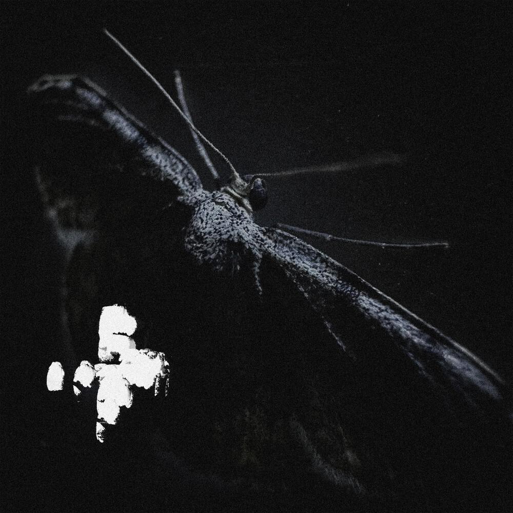 Dave Black - El Duelo