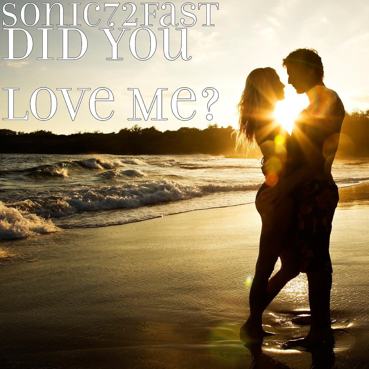 Sonic72fast - Did You Love Me?