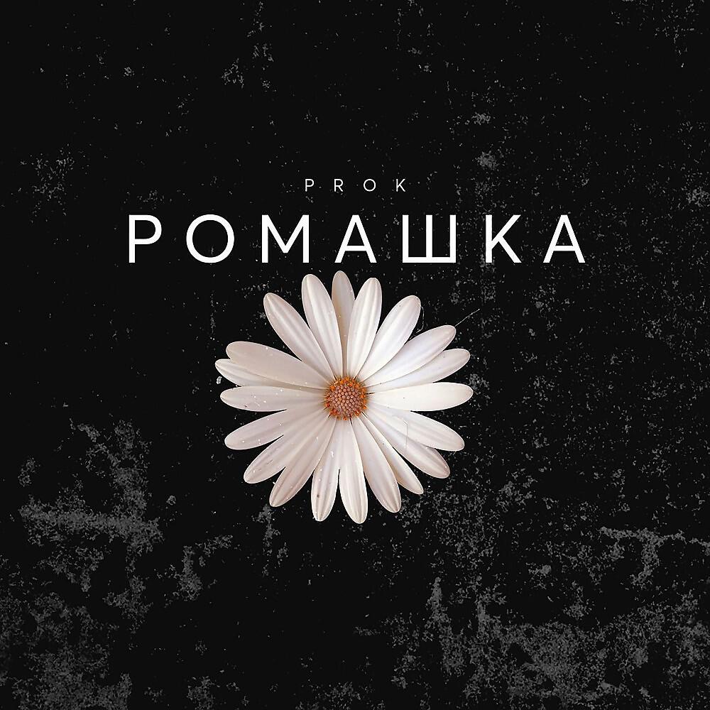PROK - Ромашка