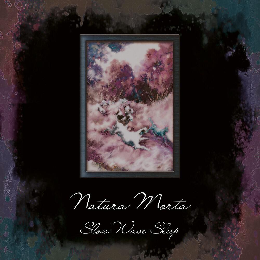 Slow Wave Sleep - Elogio della Follia (2020Mix)