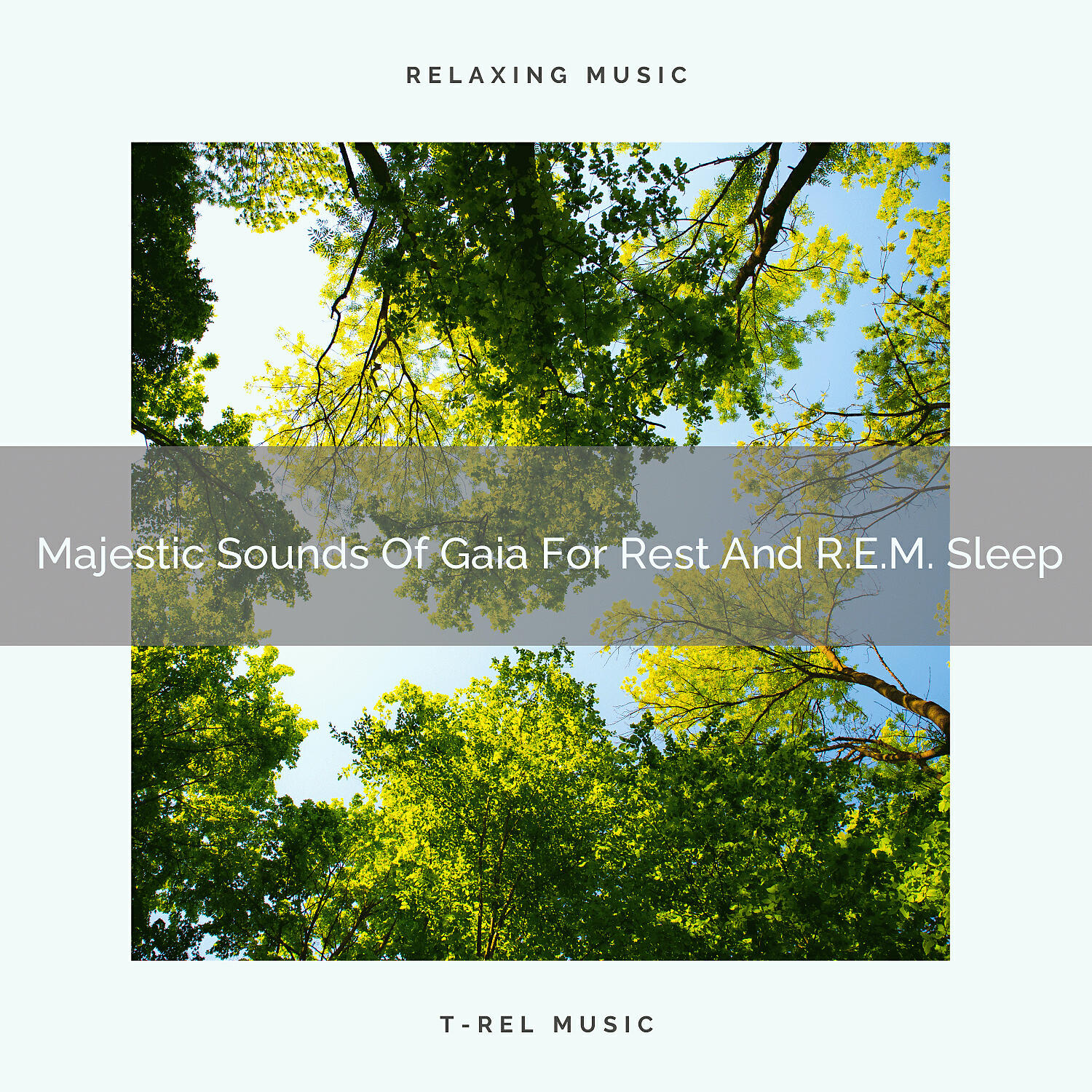 Pro Sounds of Nature - Nice Whispers Of Forest For Calm Down And Noise Therapy