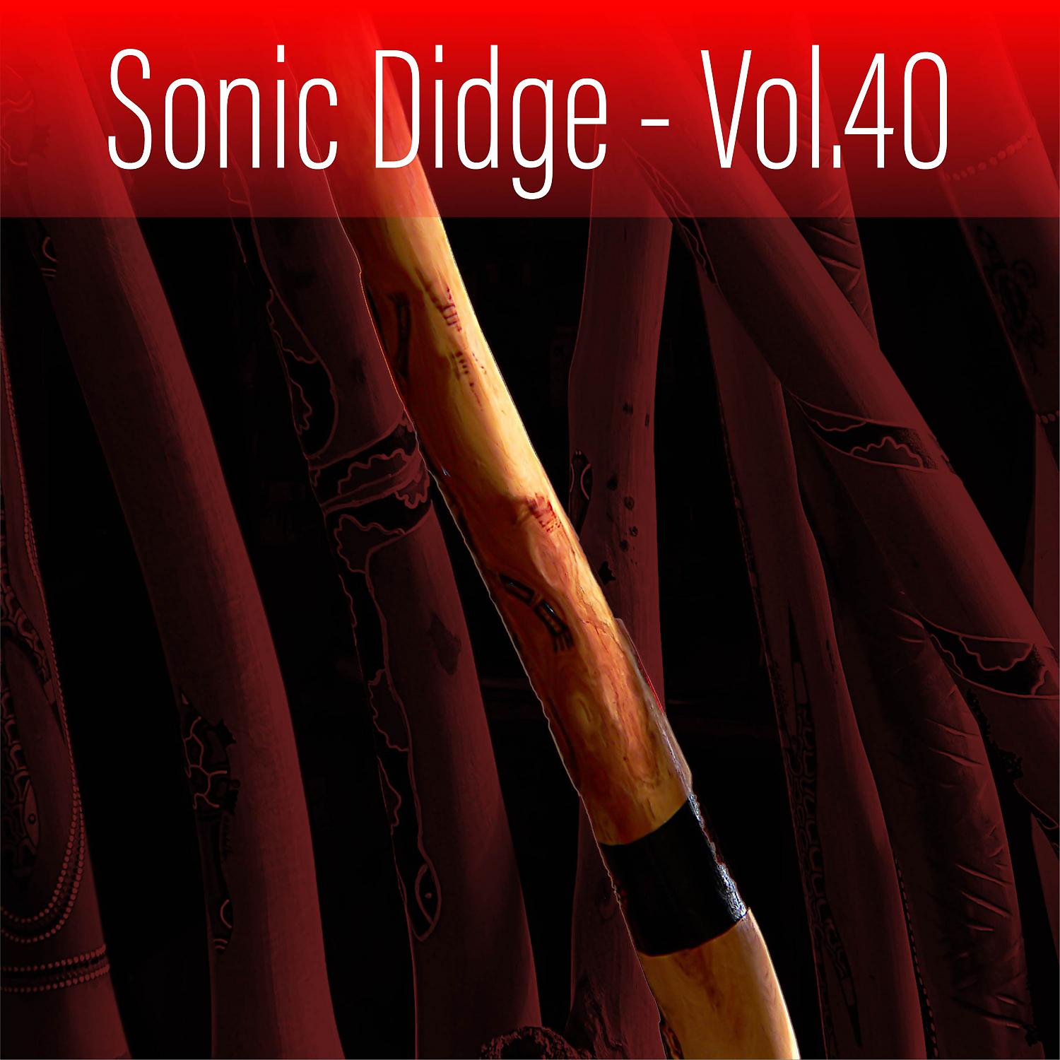 Постер альбома Sonic Didge, Vol. 40