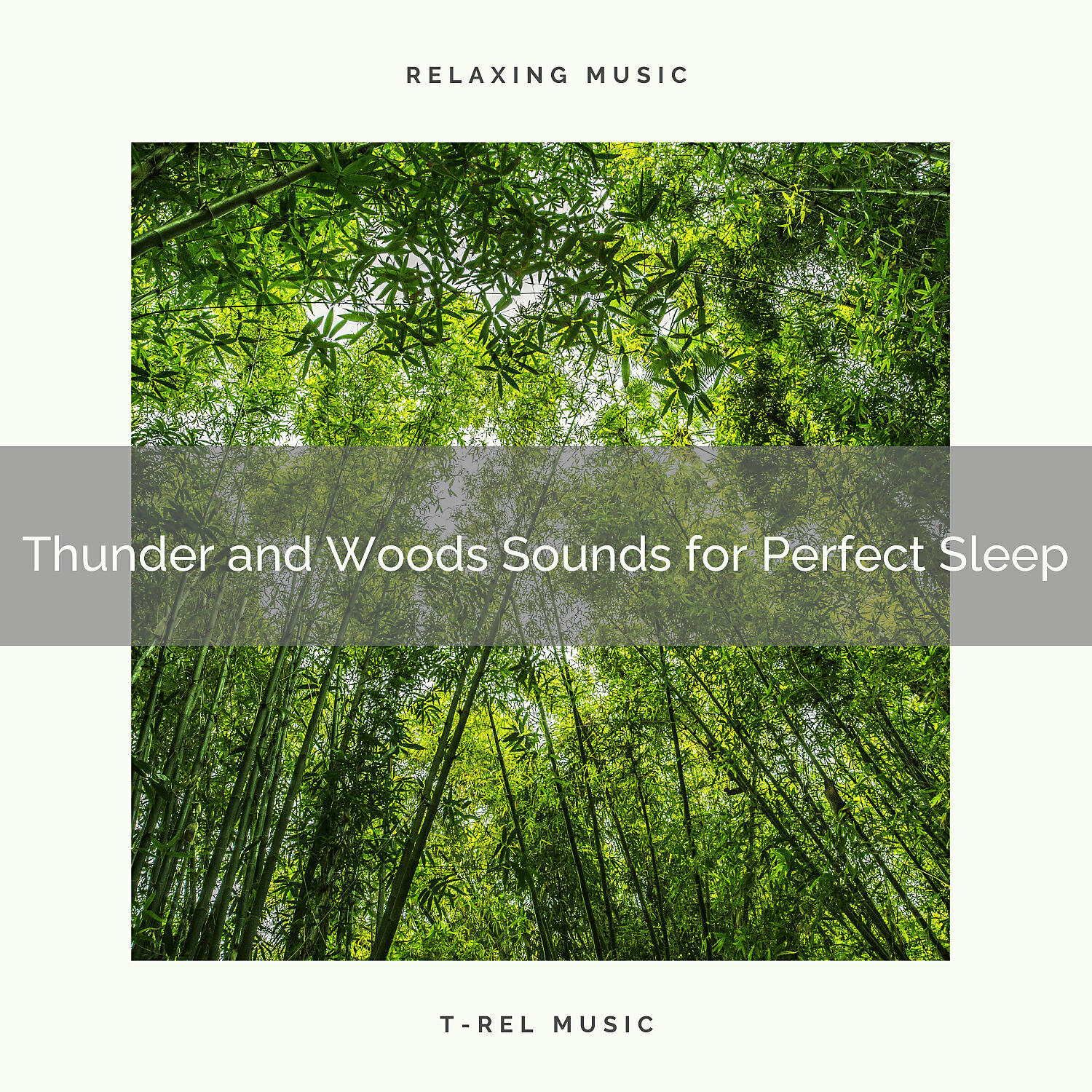 Rain Sounds Nature Collection - Thunder and Trees Sounds for Perfect Sleep