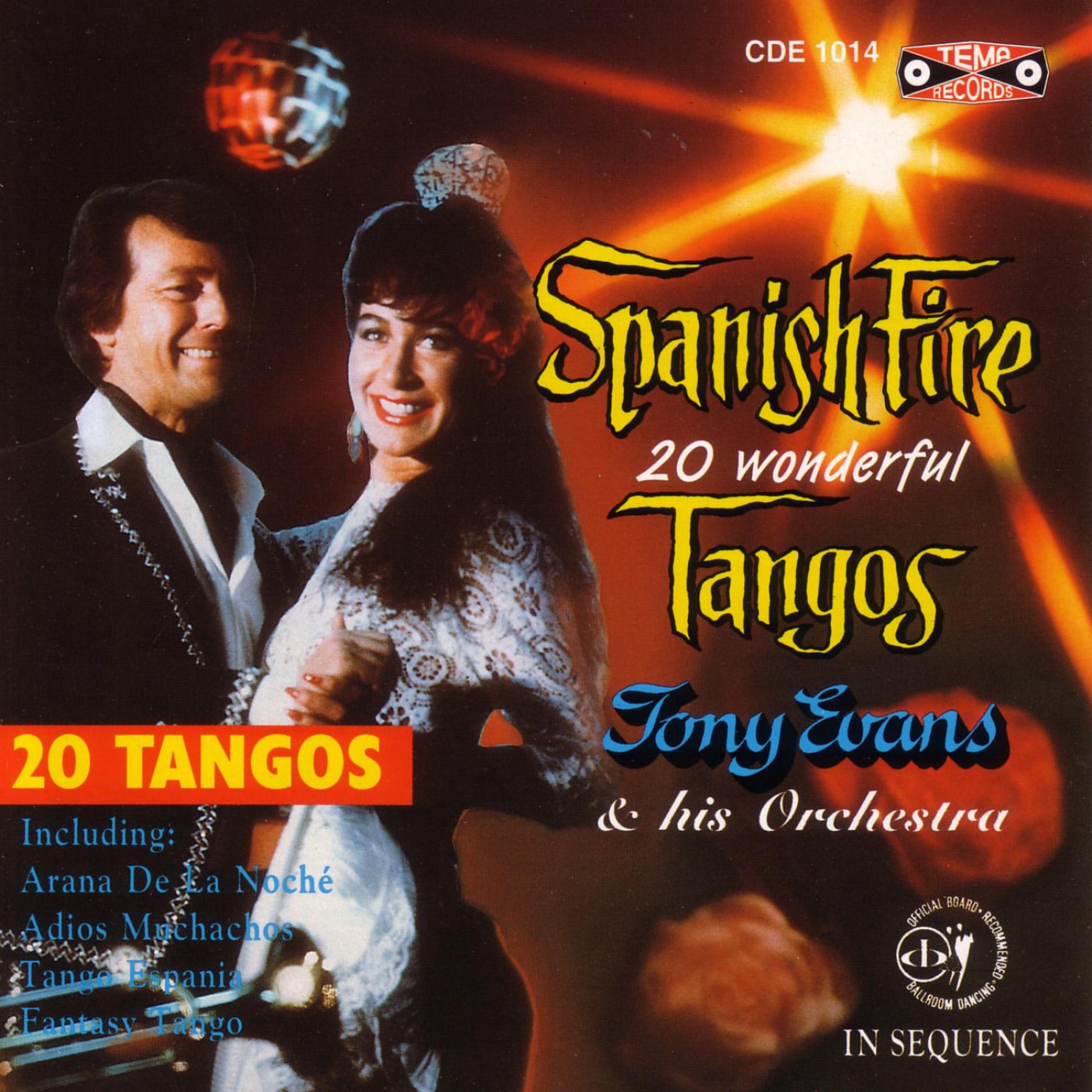 Постер альбома Spanish Fire 20 Wonderful Tangos