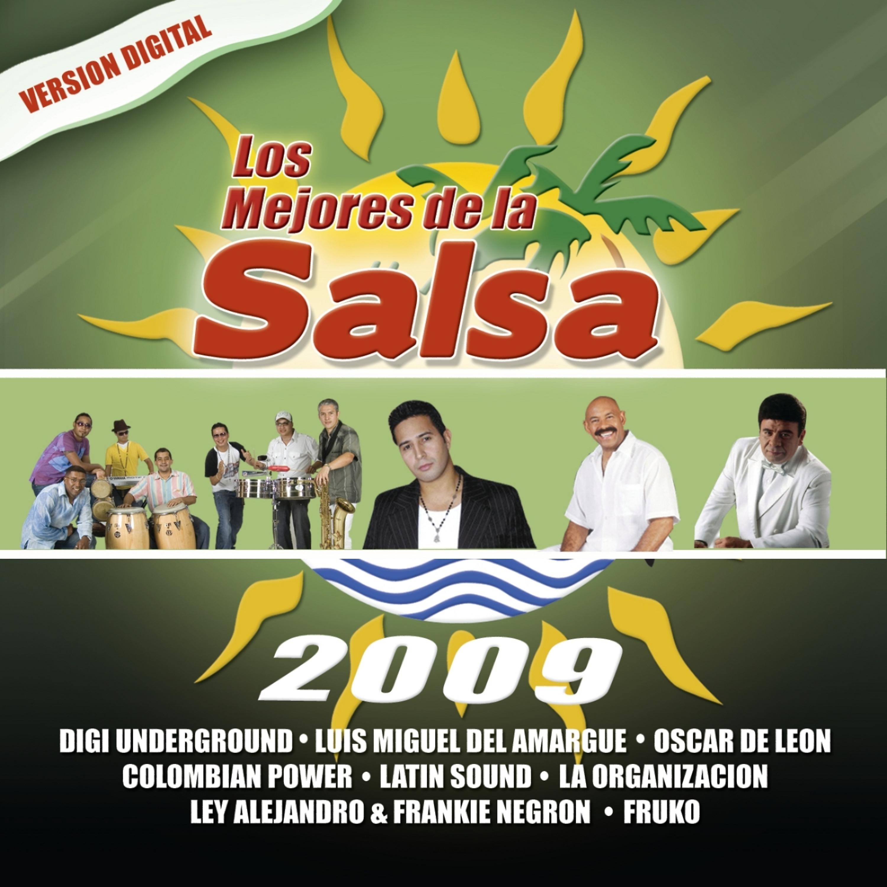 Постер альбома Los Mejores de la Salsa 2009