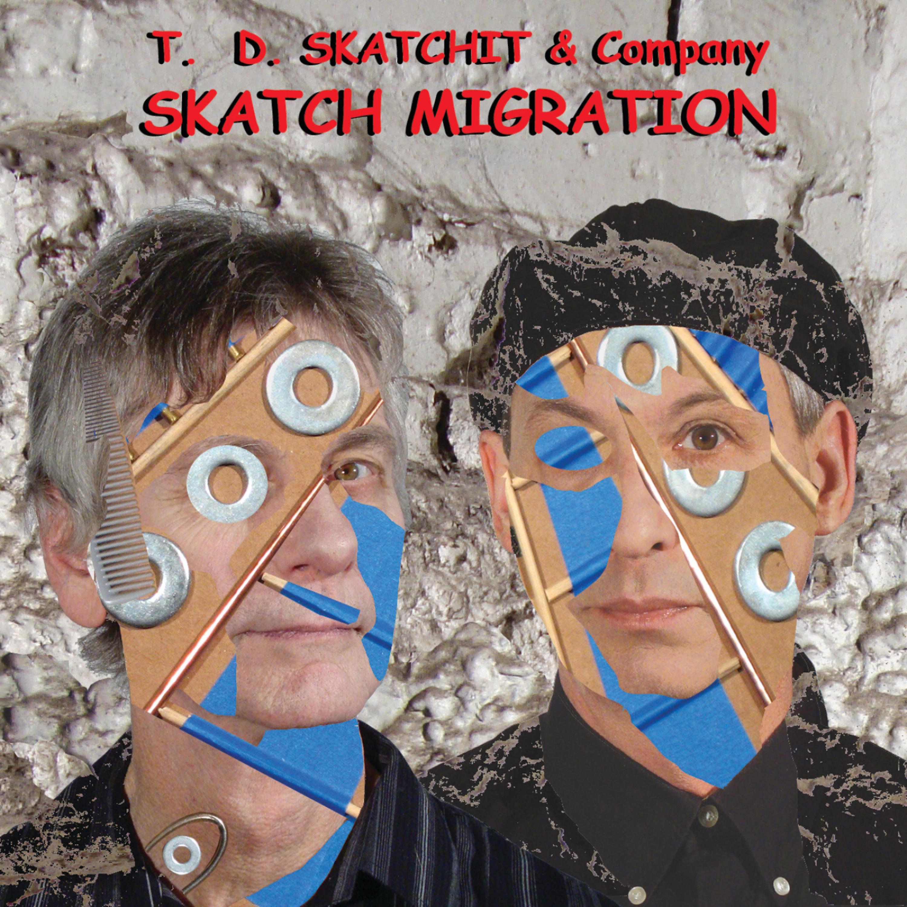 Постер альбома Skatch Migration