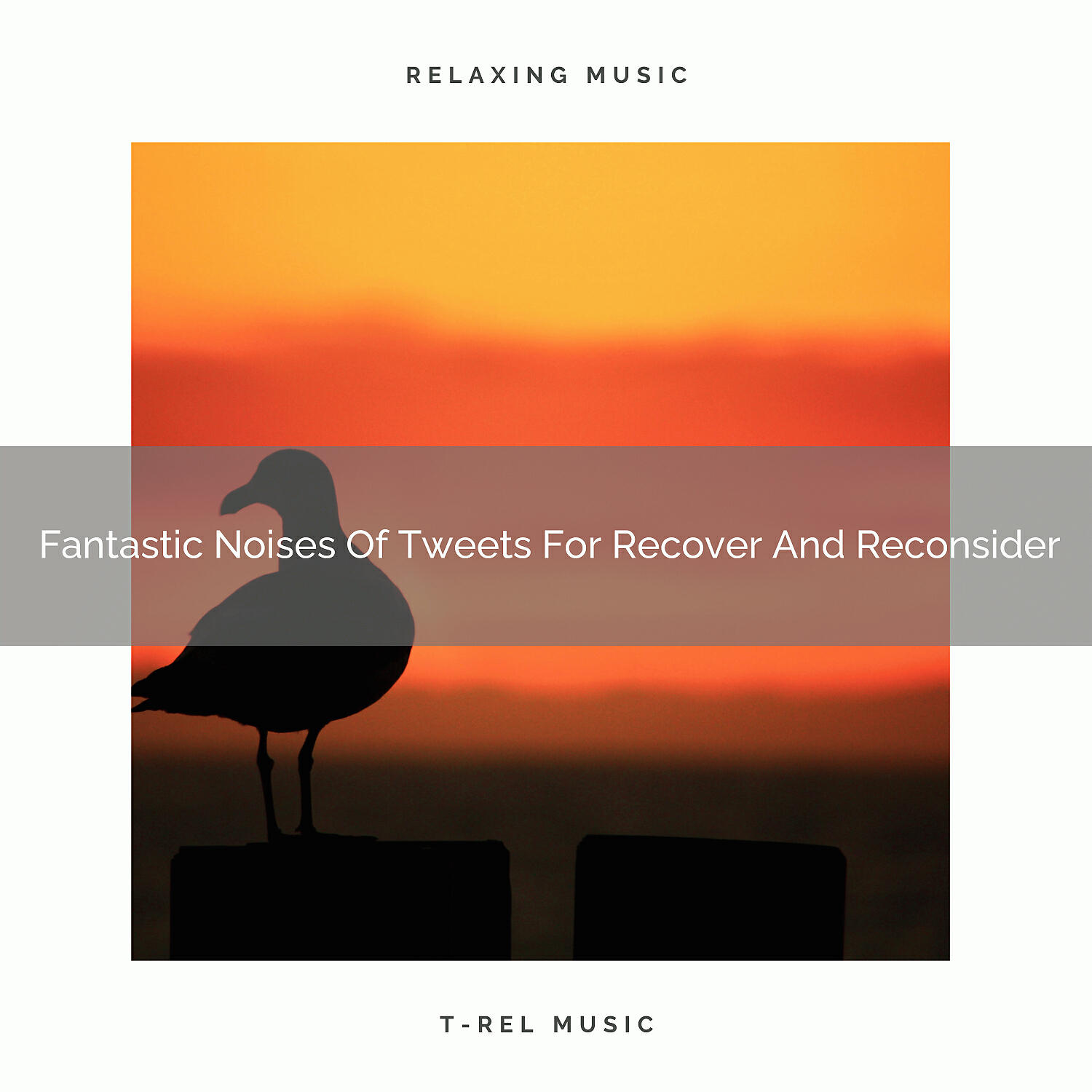 Sound of the Wilderness - Peaceful Noise Of Tweets For Recharge And Come Back