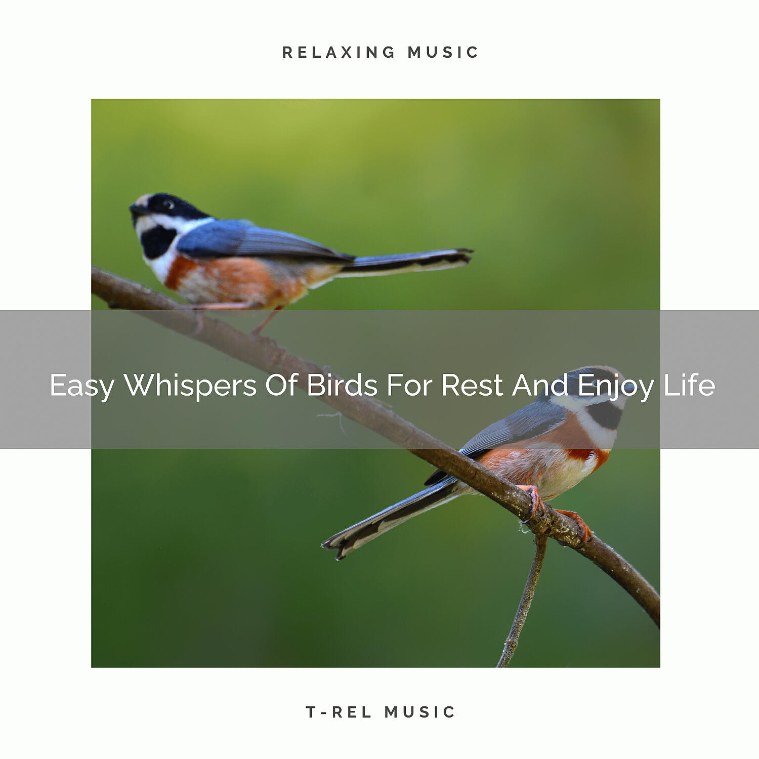 Organic Nature Sounds - Moody Tones Of Tweets For Relax And Noise Therapy