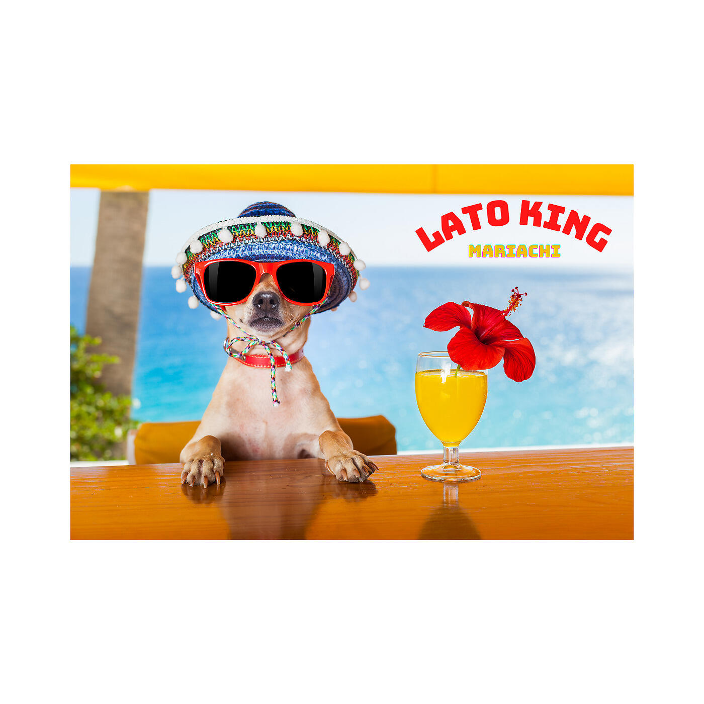Lato King - Mariachi