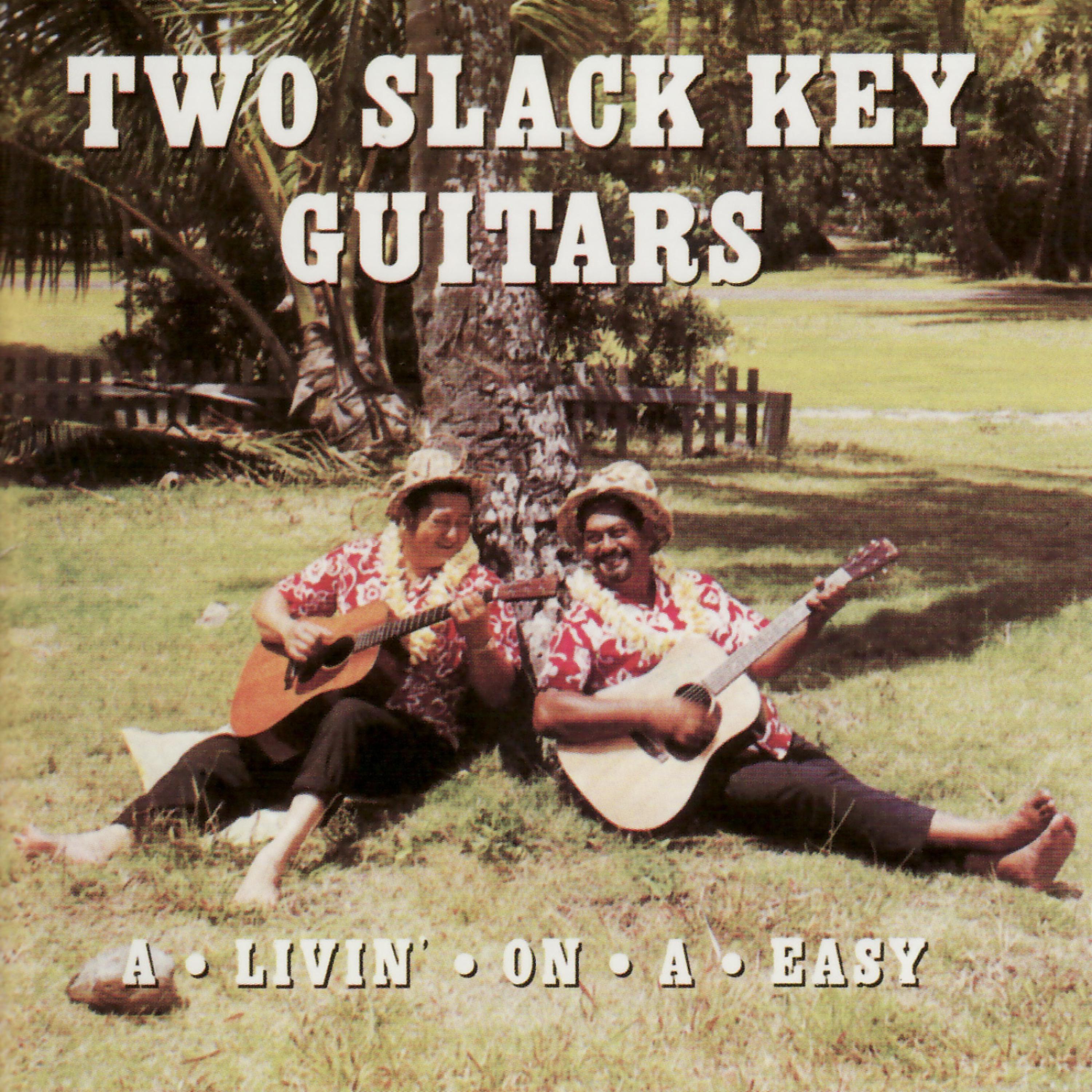 Постер альбома Two Slack Key Guitars