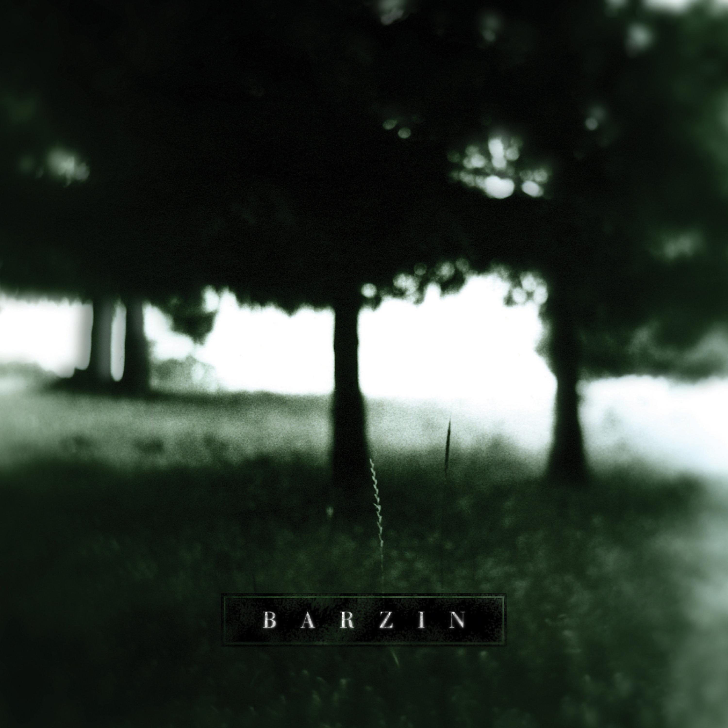 Постер альбома Barzin